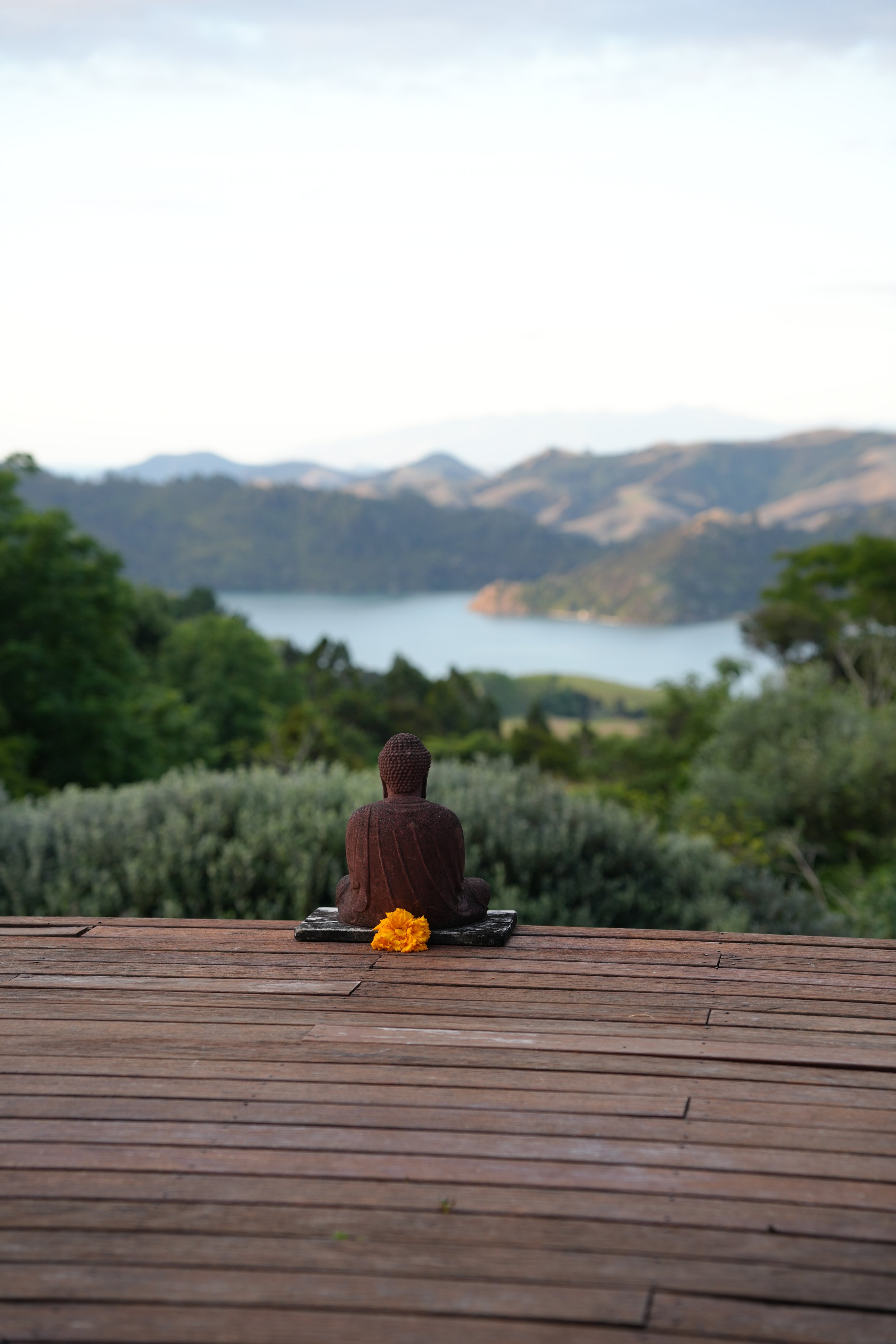 Your Inner Retreat- New Zealand, February 2026