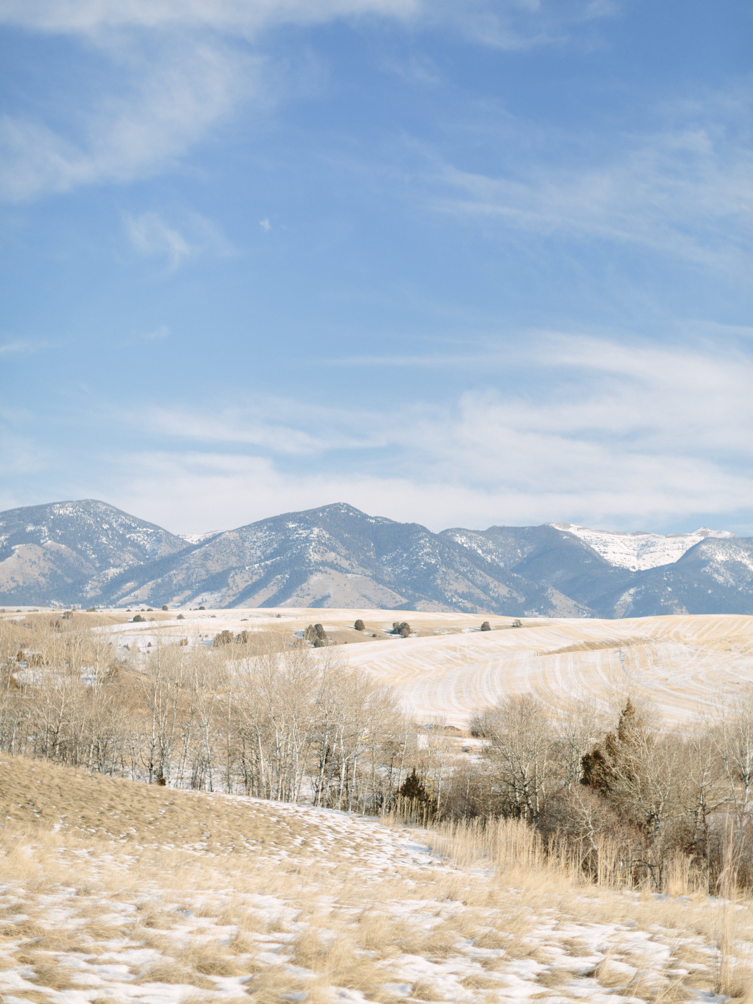 LCphoto-winter-Montana-fostercreek-026.jpg