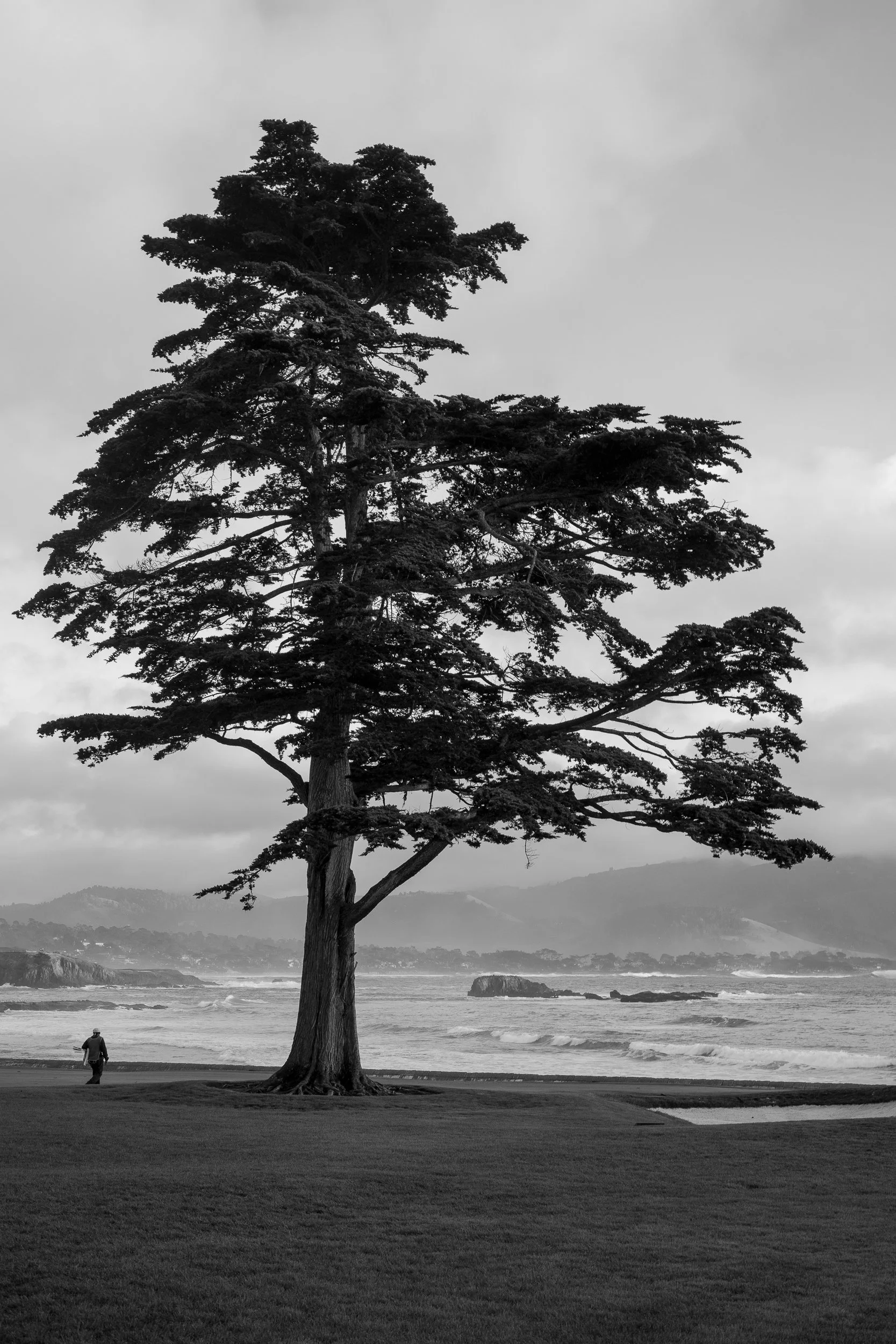 pebble beach-7.jpg