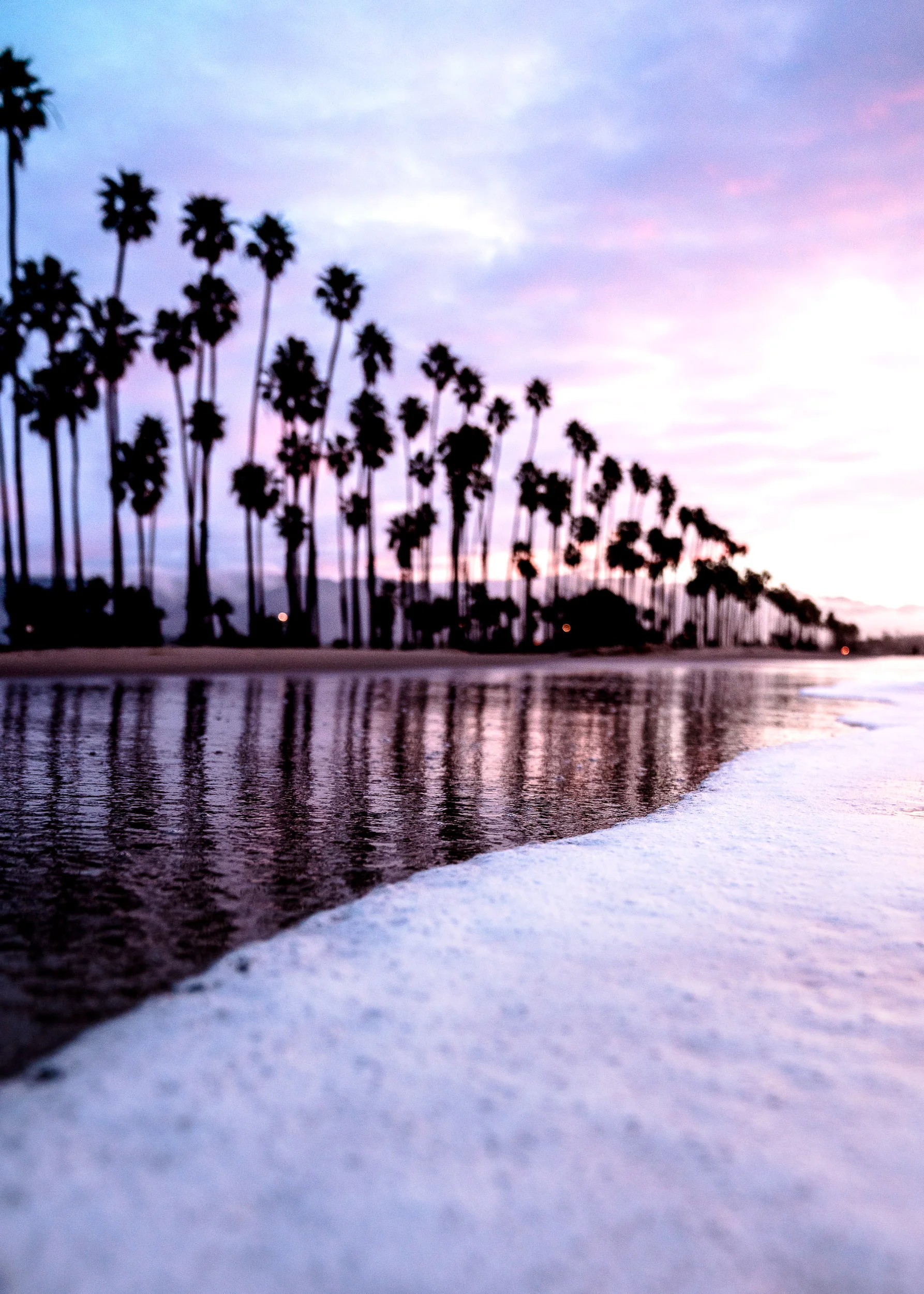 collindewell_cottoncandy_001.jpg
