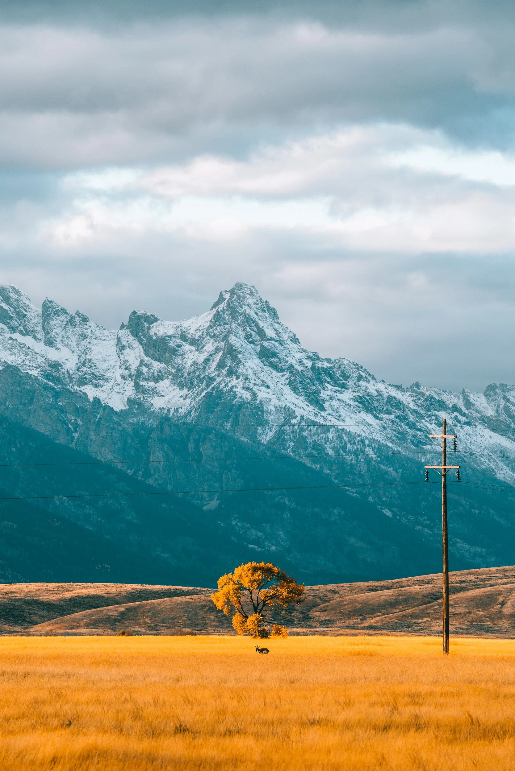 collindewell_wyoming_001-4.jpg