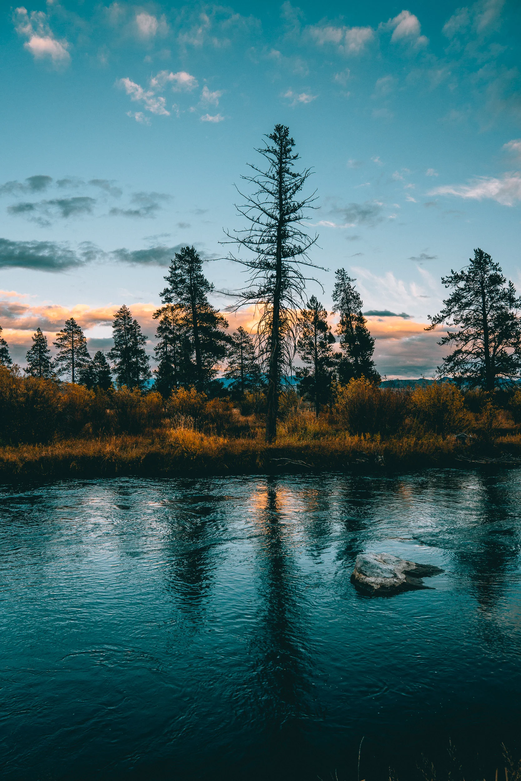 collindewell_wyoming_002.jpg