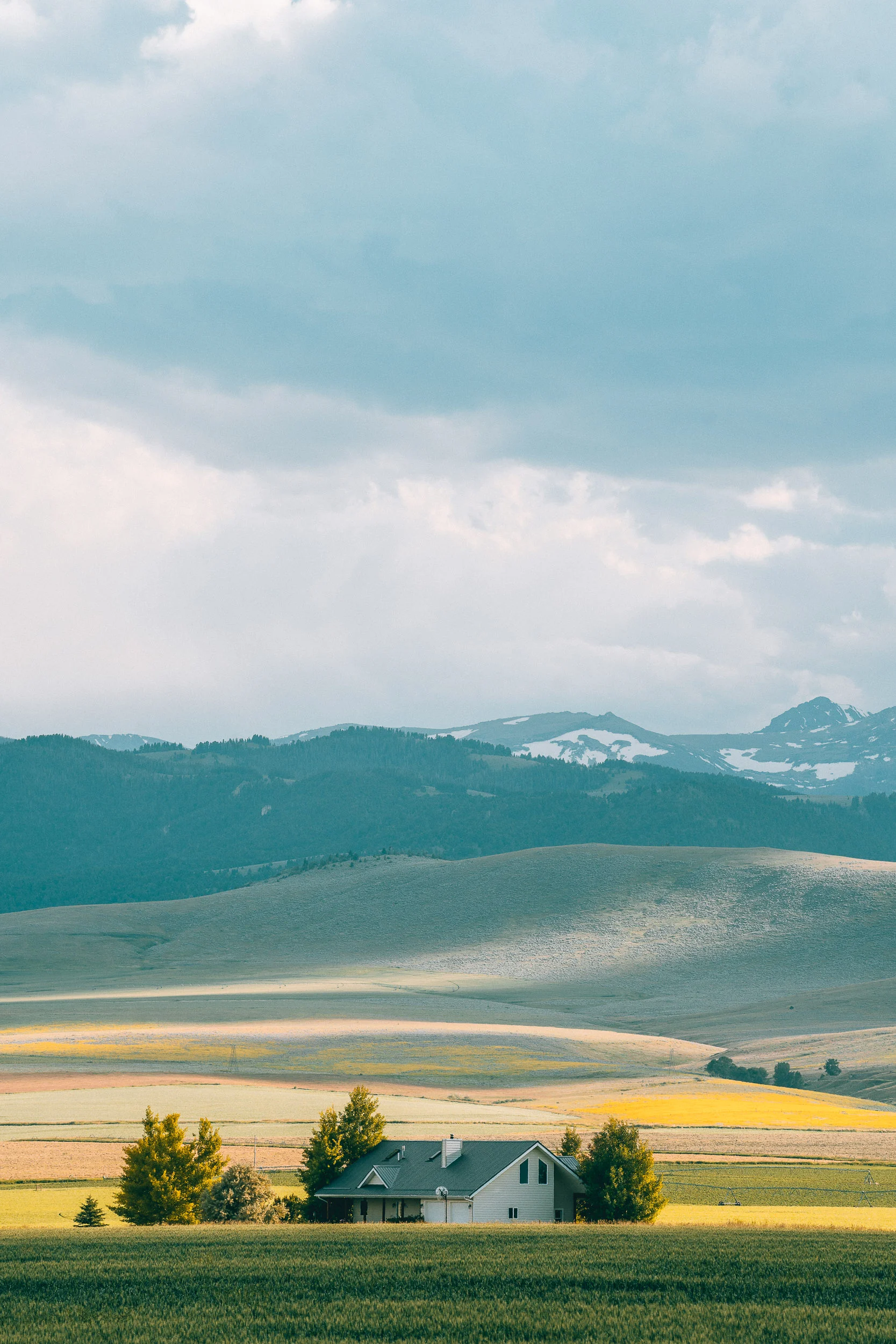 collindewell_montana_013.jpg