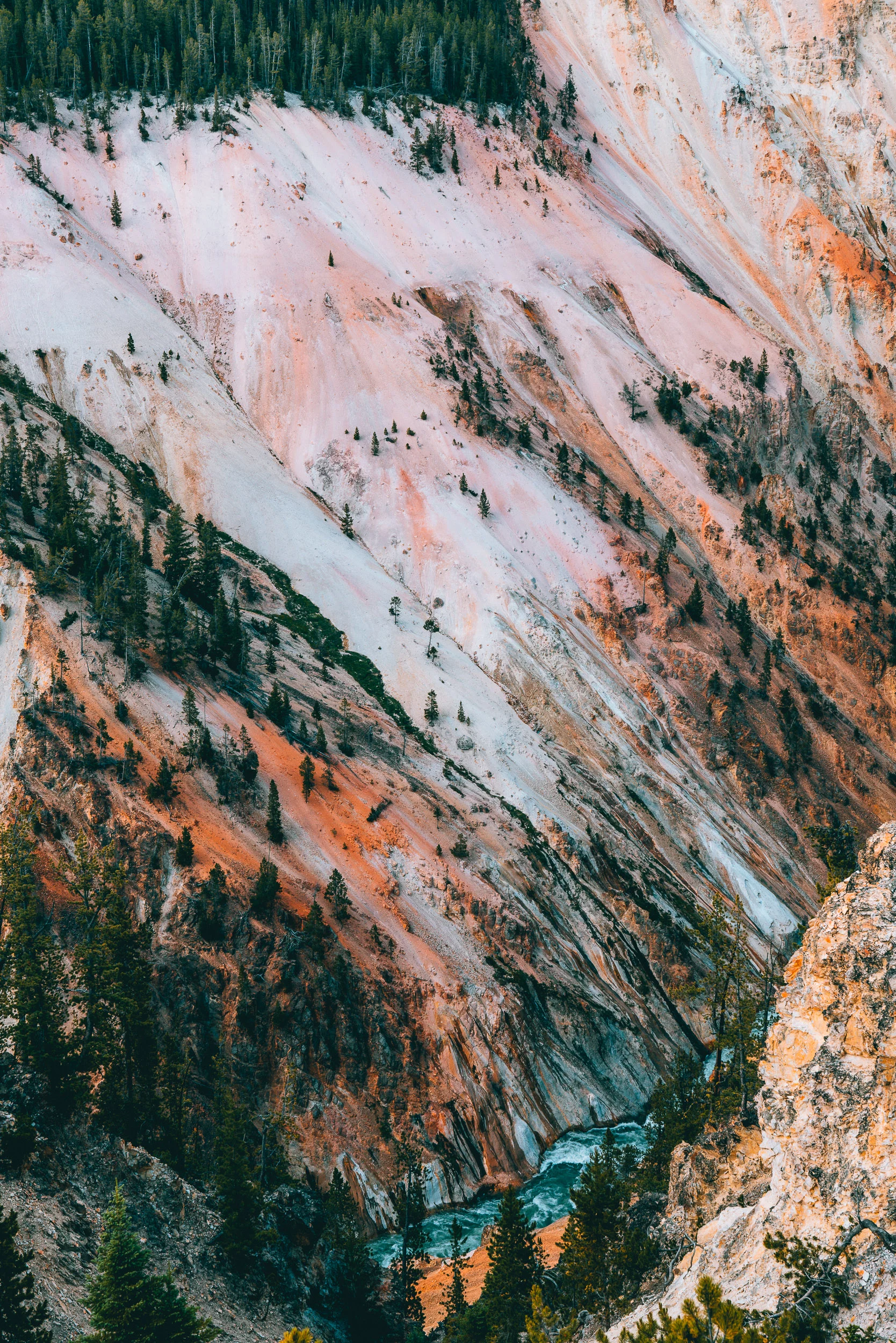 collindewell_montana_023.jpg