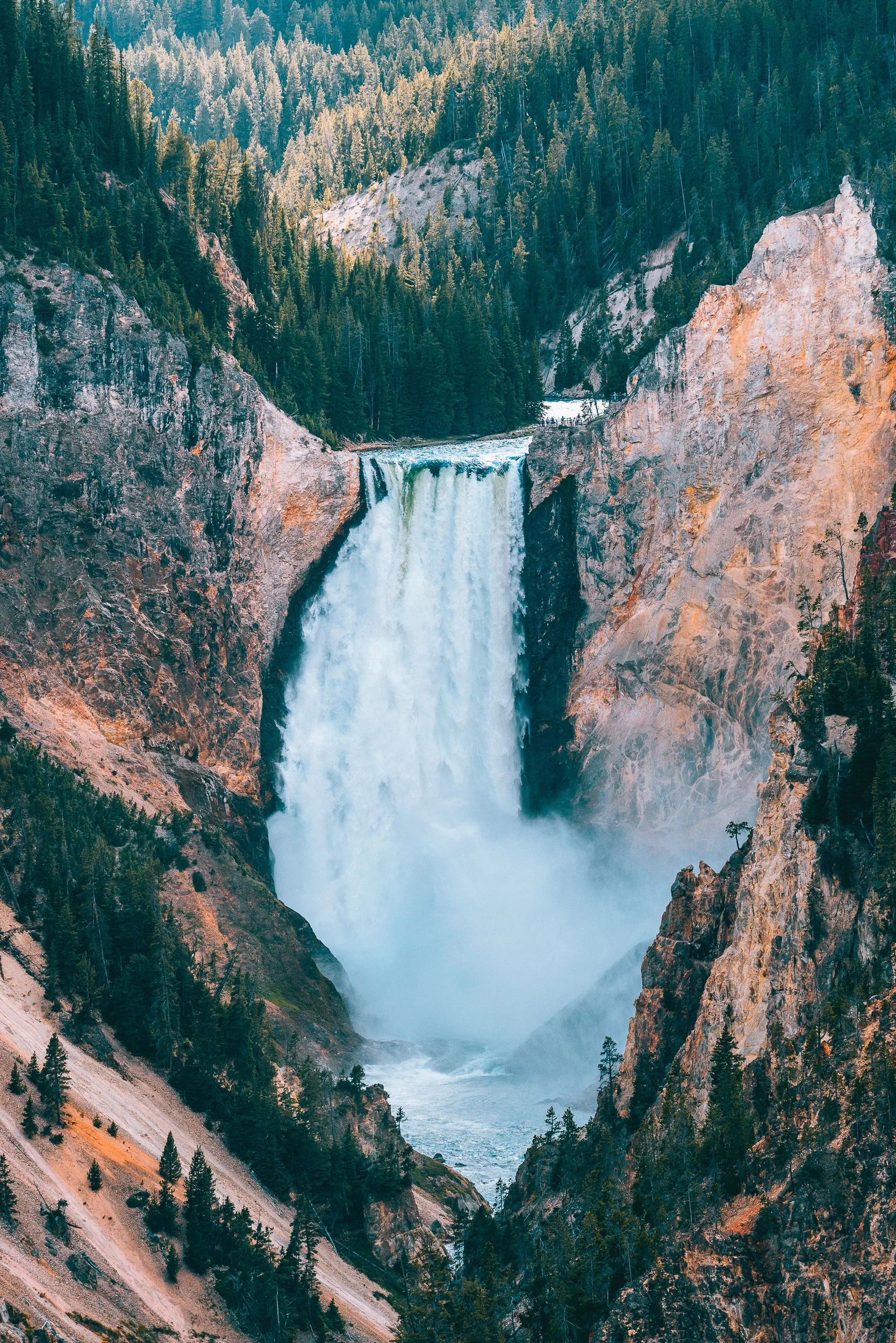 collindewell_montana_025.jpg