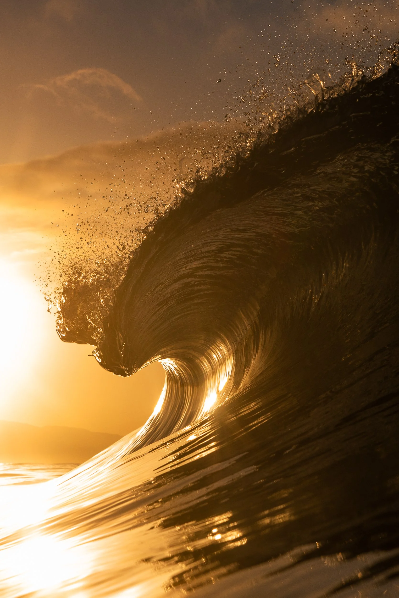 collindewell_nothing gold can stay.jpg