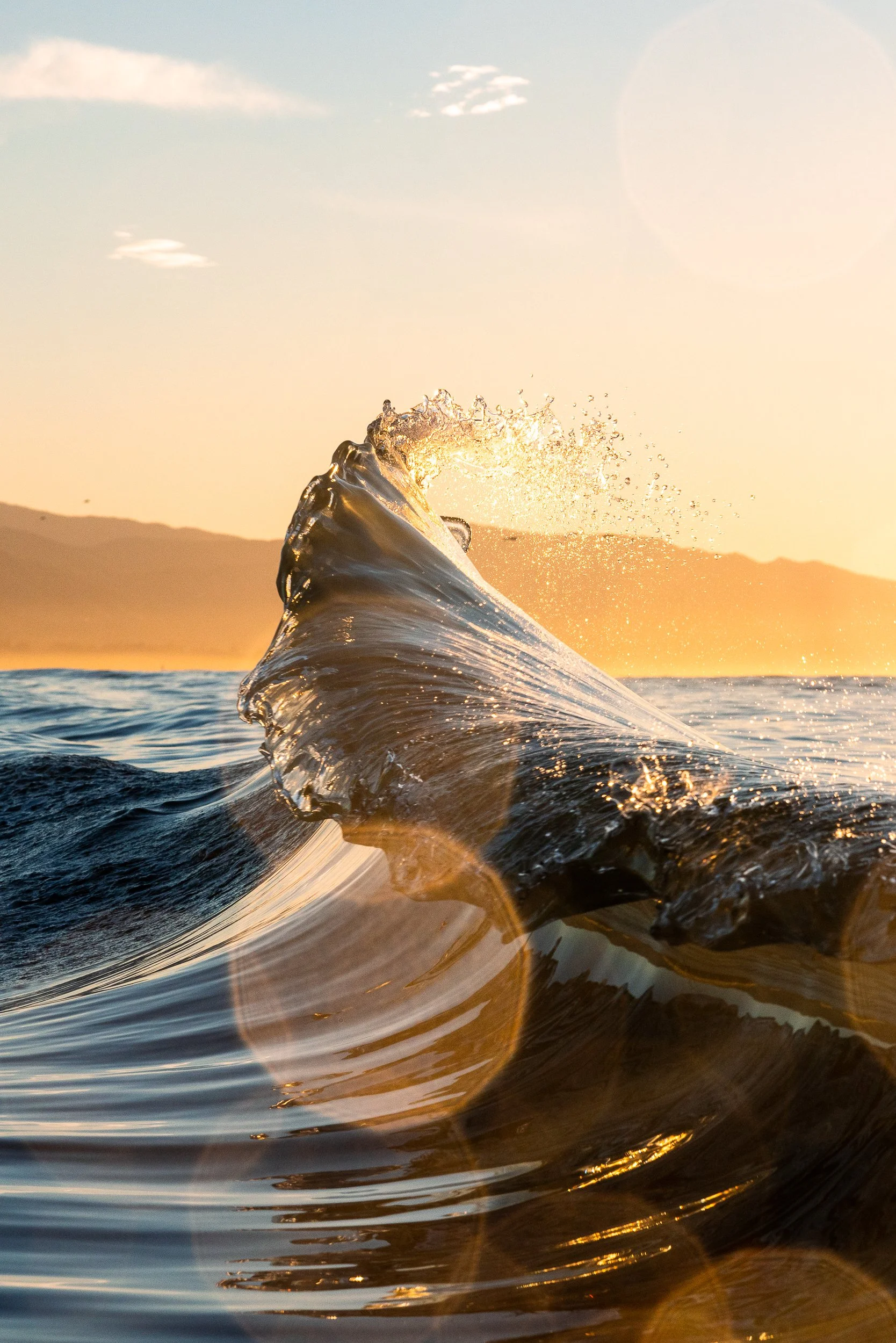 collindewell_playful wave.jpg