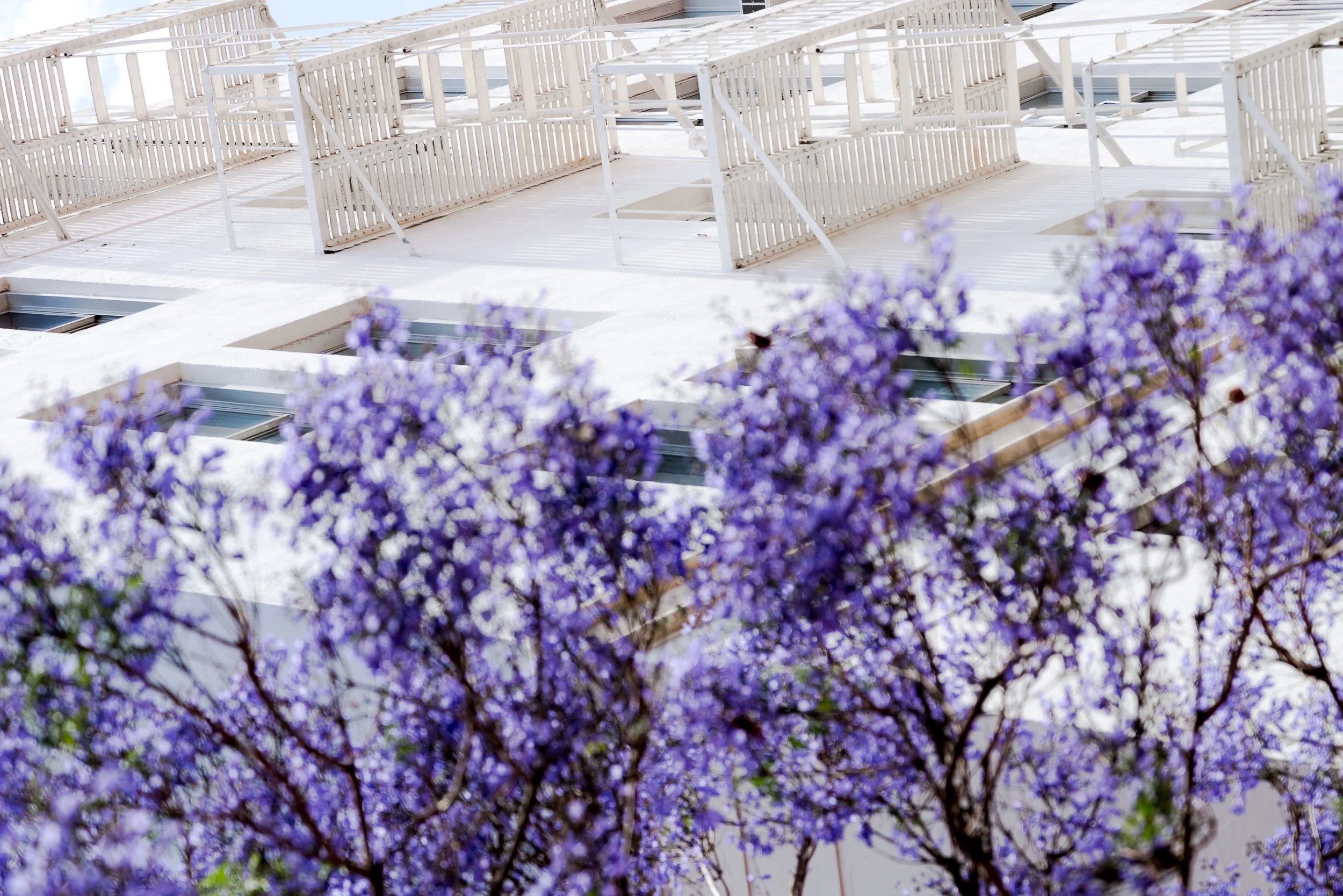 collindewell_art for ronnie-6.jpg