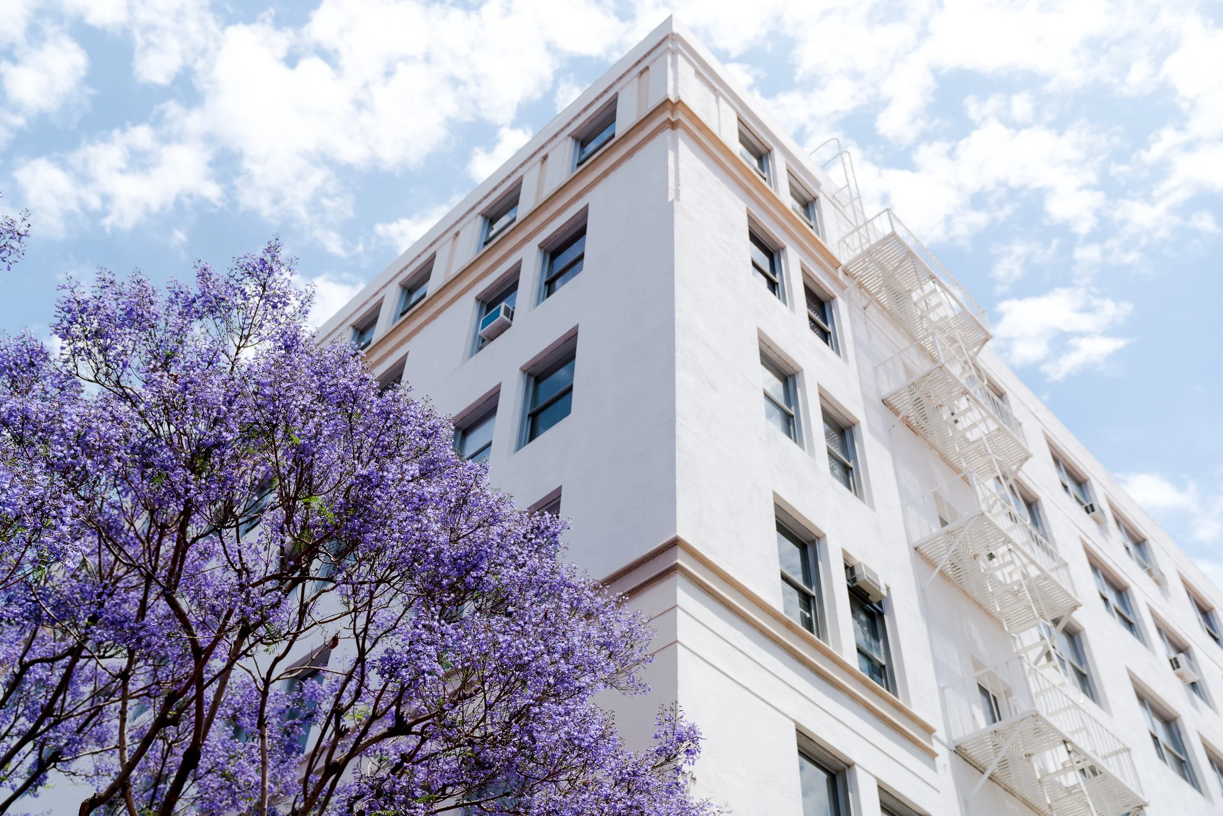 collindewell_art for ronnie-7.jpg