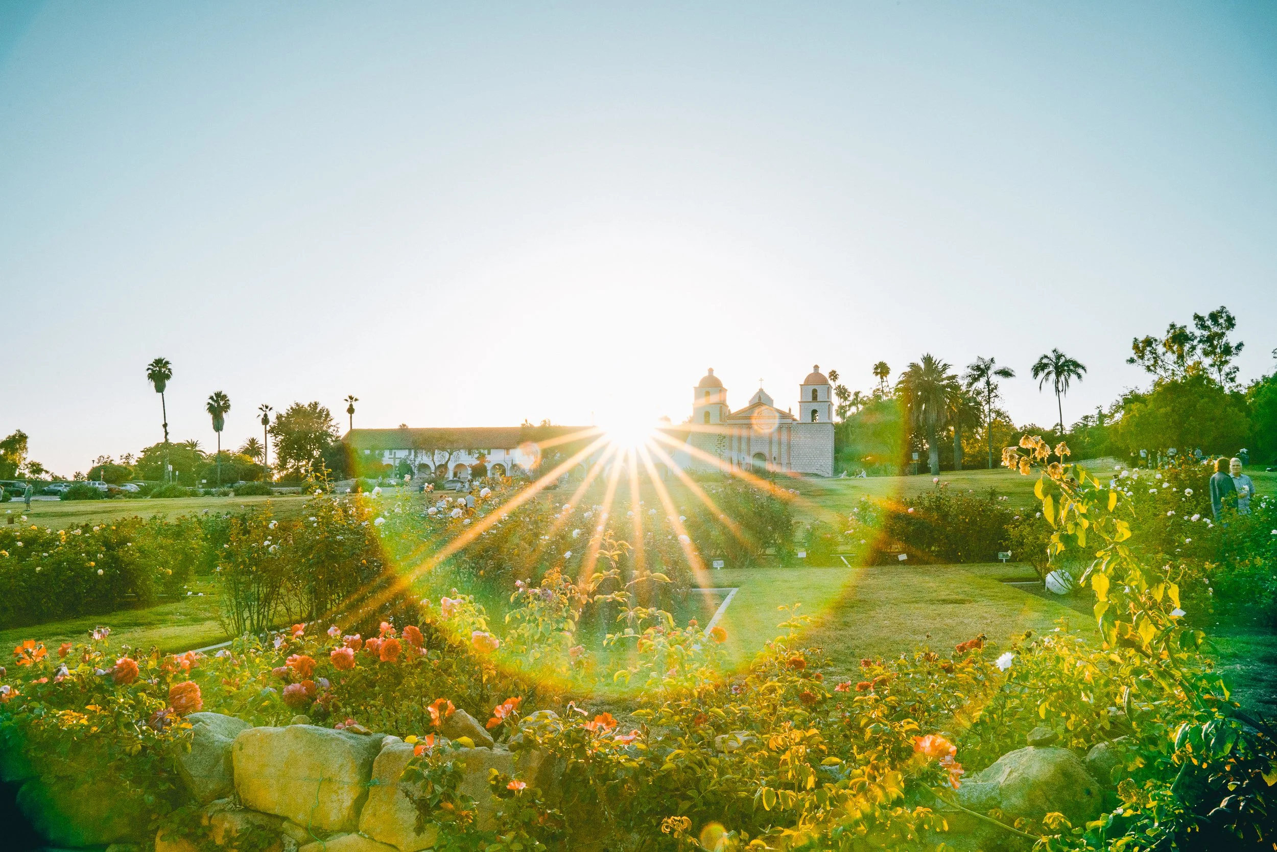 collindewell_art for ronnie-8.jpg