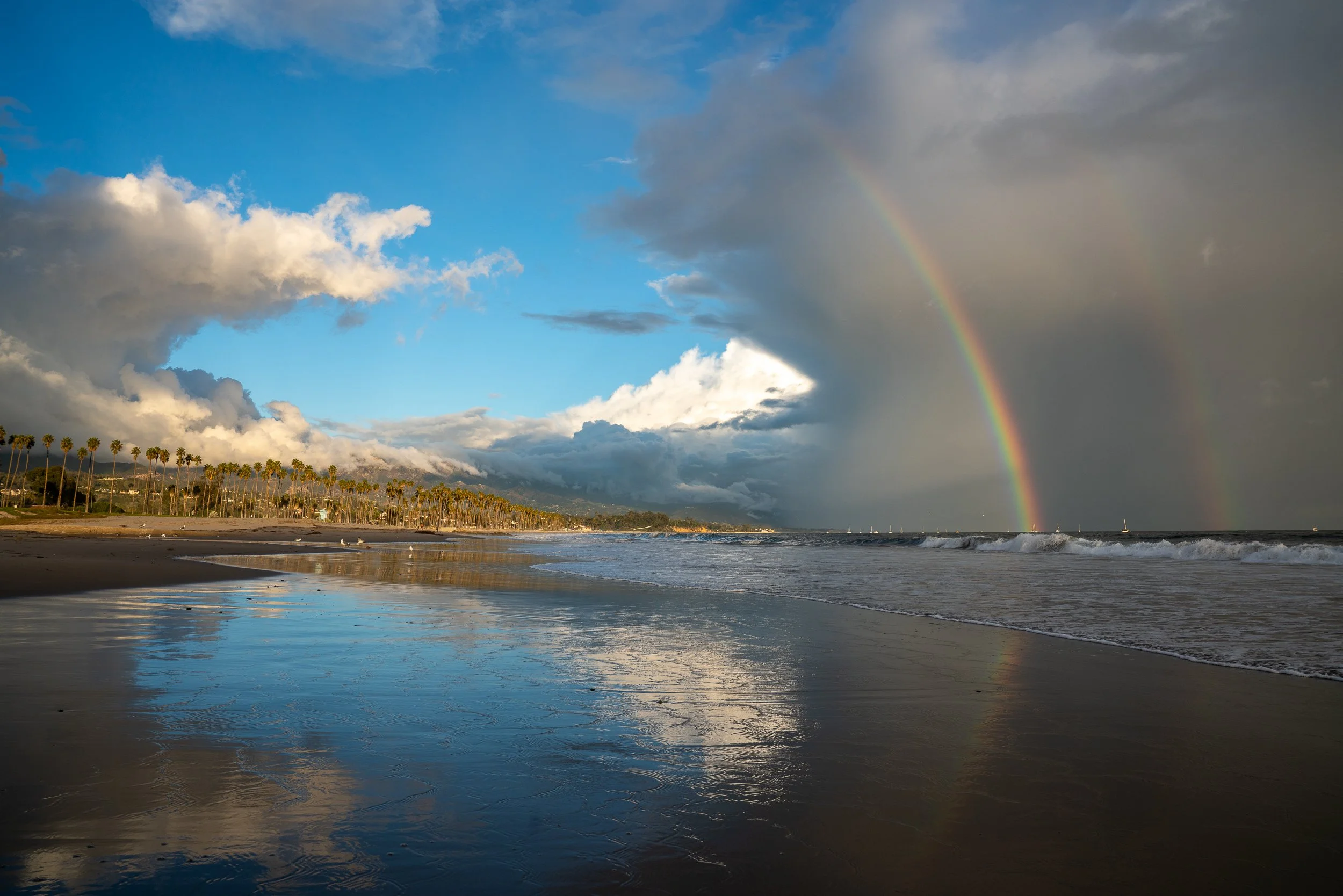 collindewell_art for ronnie-14.jpg