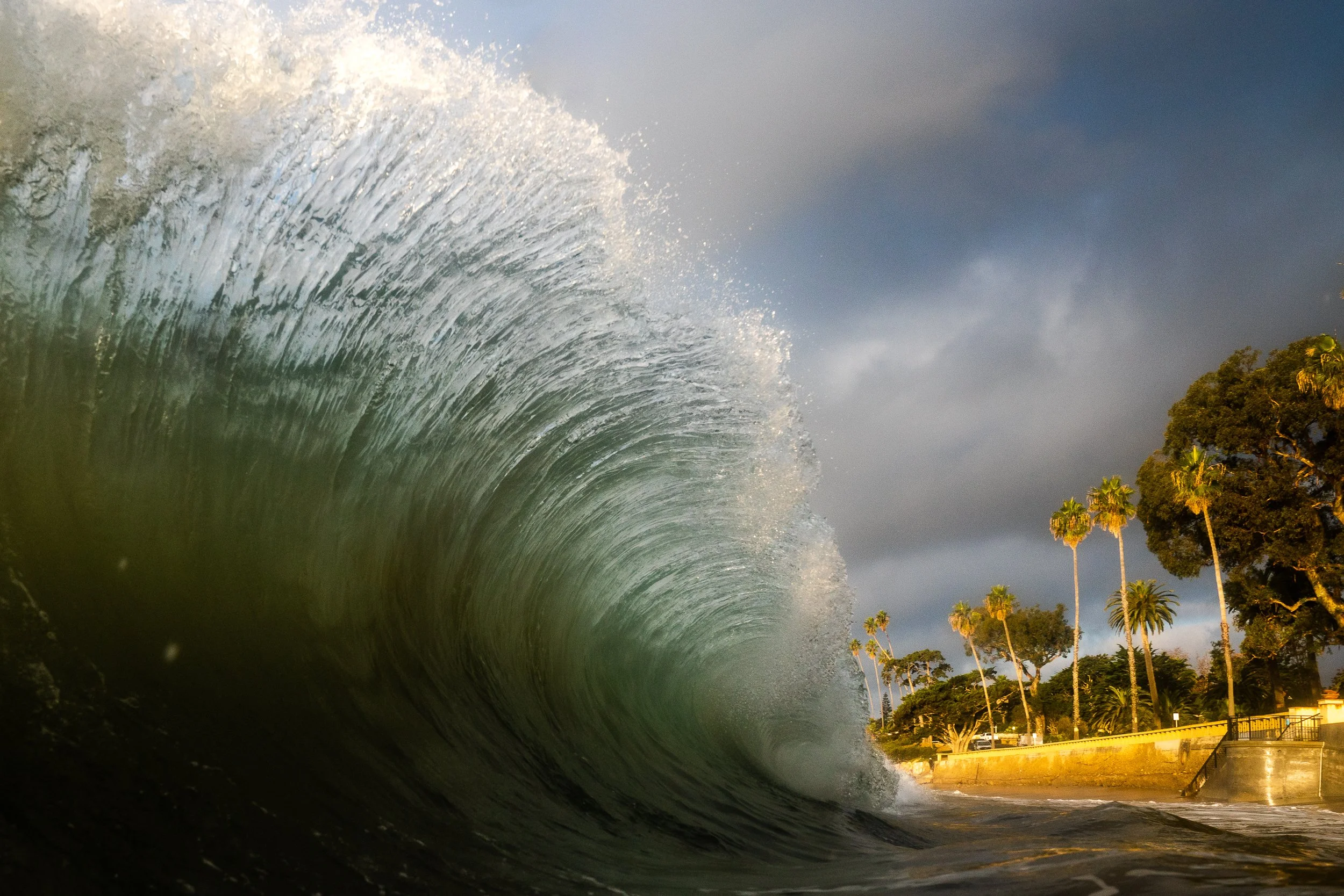 collindewell_art for ronnie-19.jpg