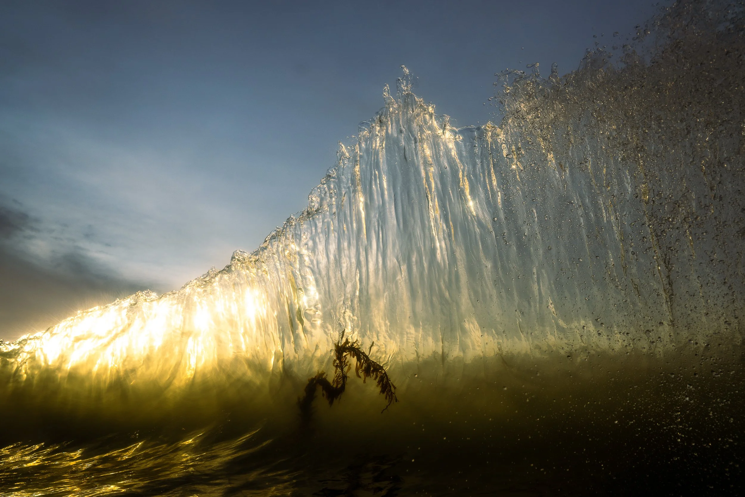 collindewell_art for ronnie-20.jpg