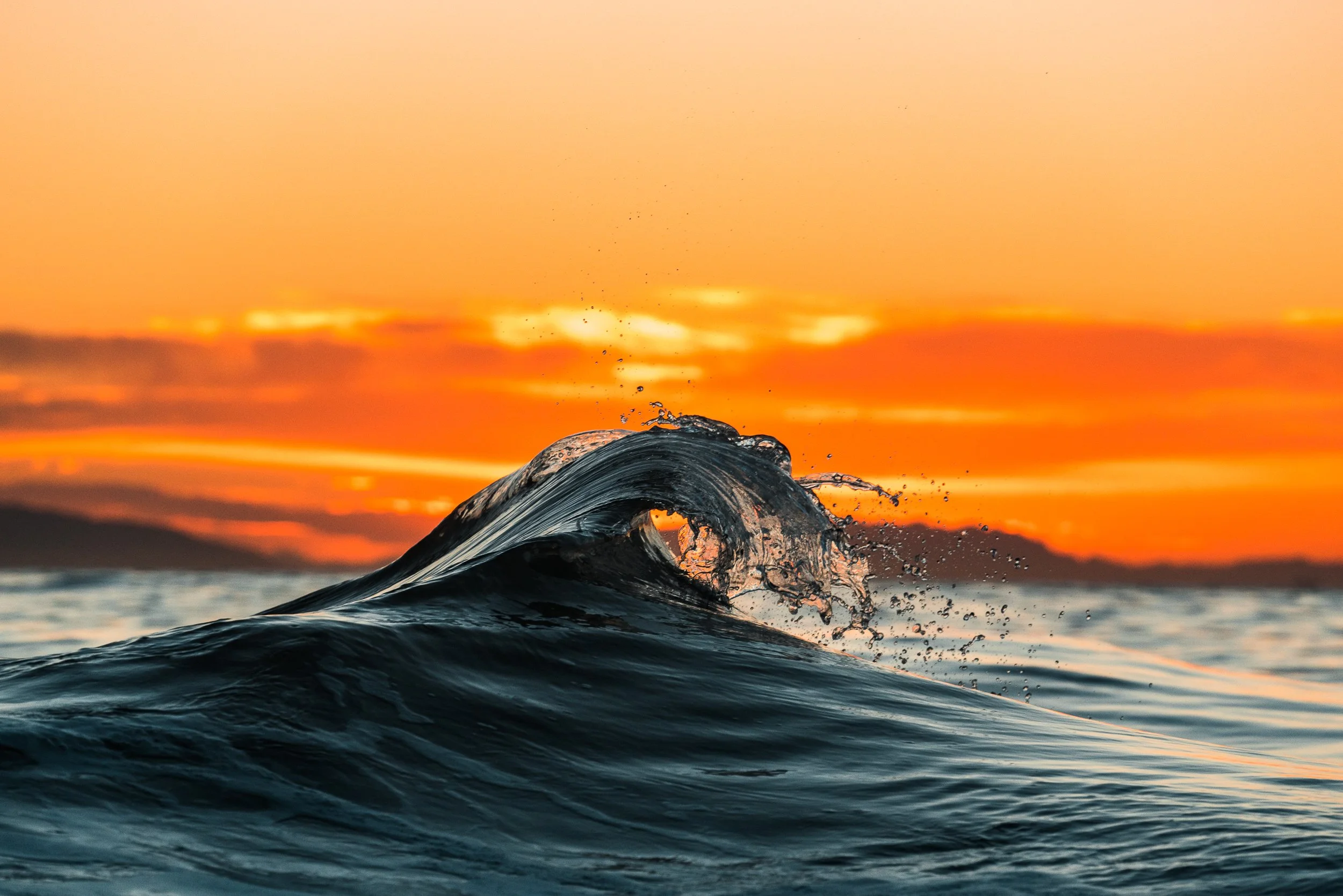 collindewell_art for ronnie-21.jpg