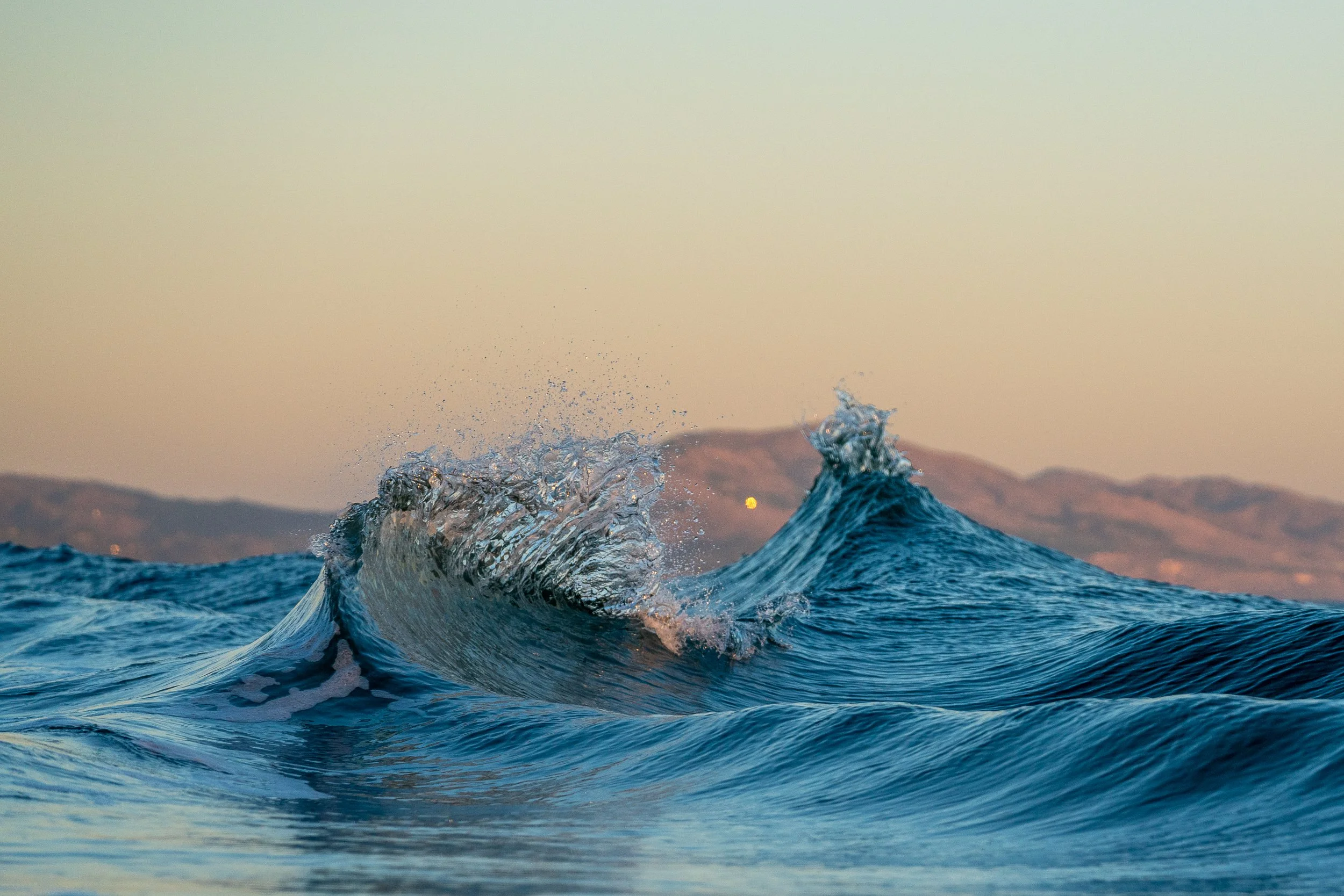 collindewell_art for ronnie-22.jpg