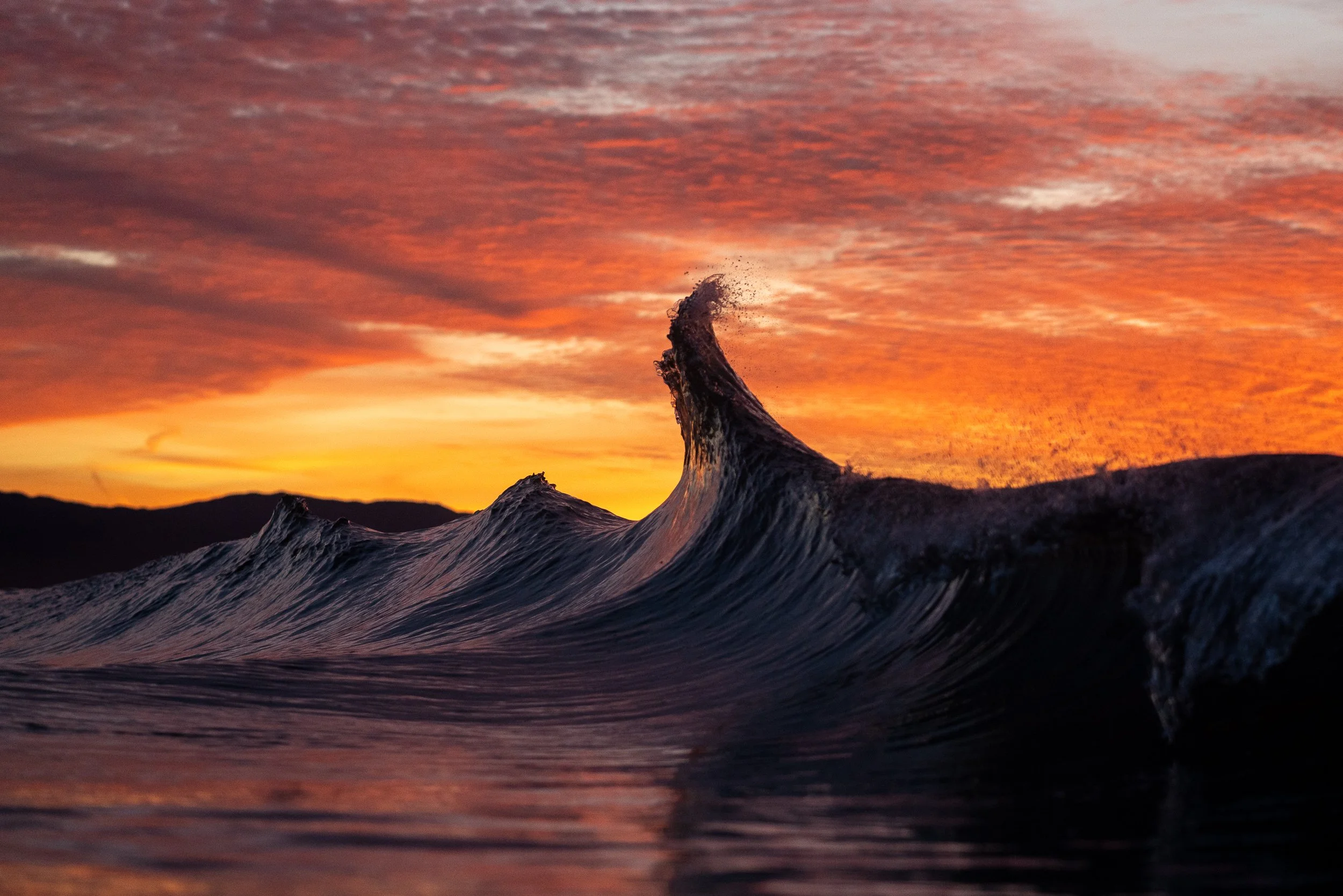 collindewell_art for ronnie-23.jpg