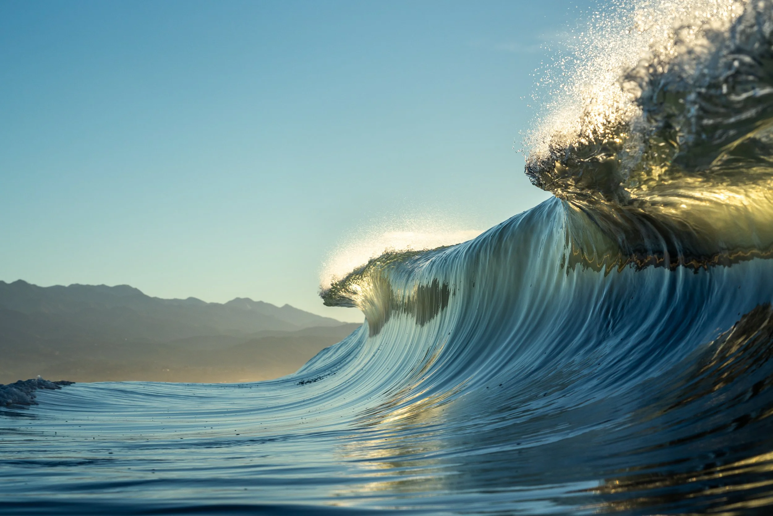 collindewell_art for ronnie-24.jpg