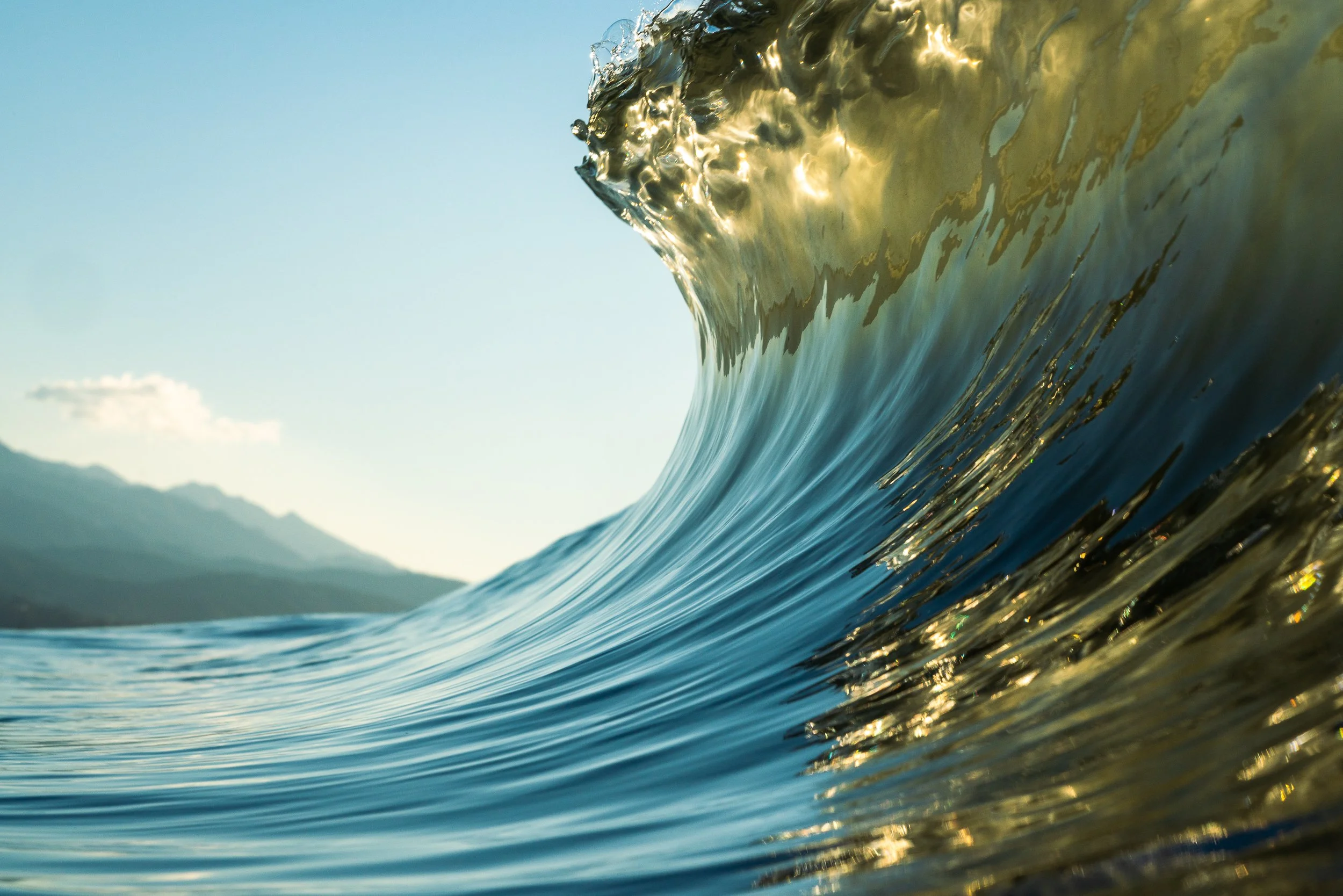 collindewell_art for ronnie-25.jpg