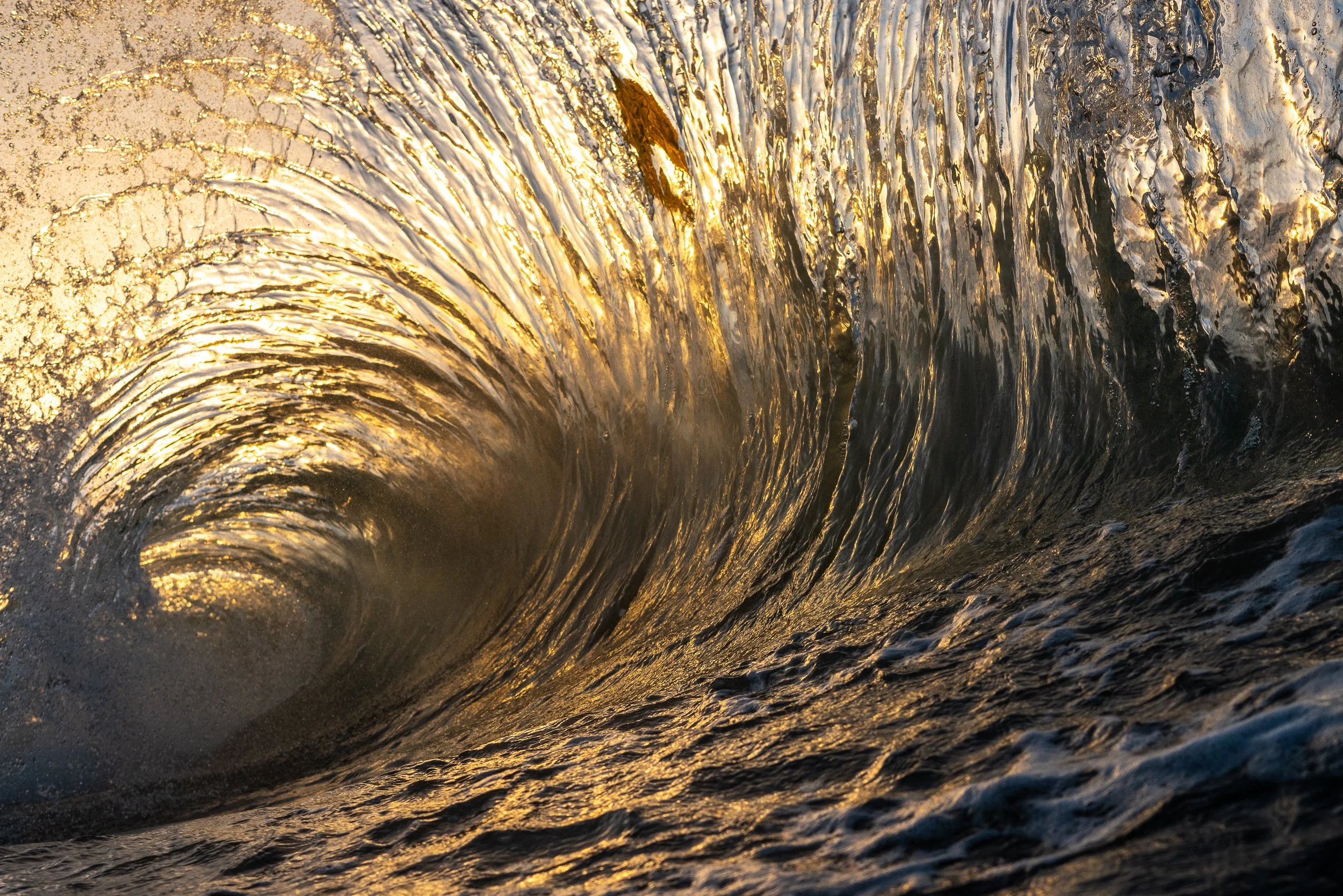 collindewell_art for ronnie-26.jpg