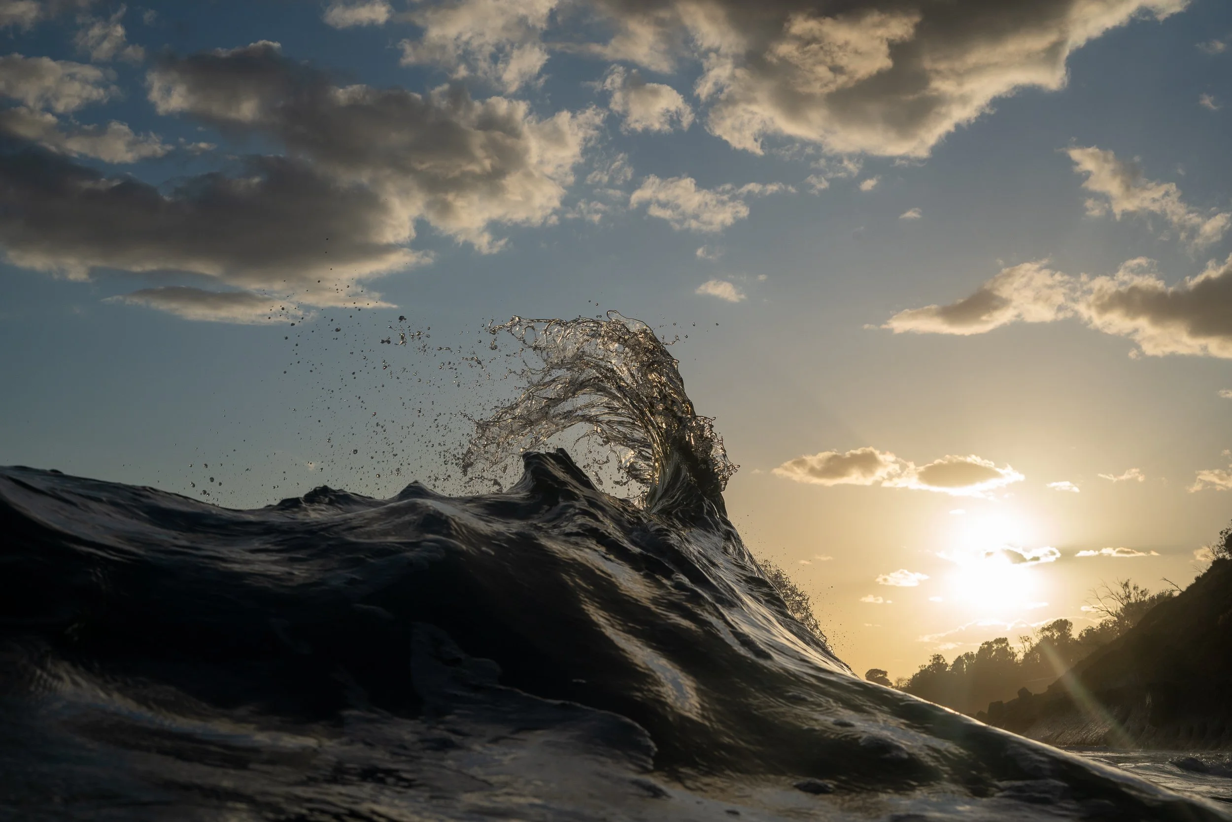 collindewell_art for ronnie-29.jpg