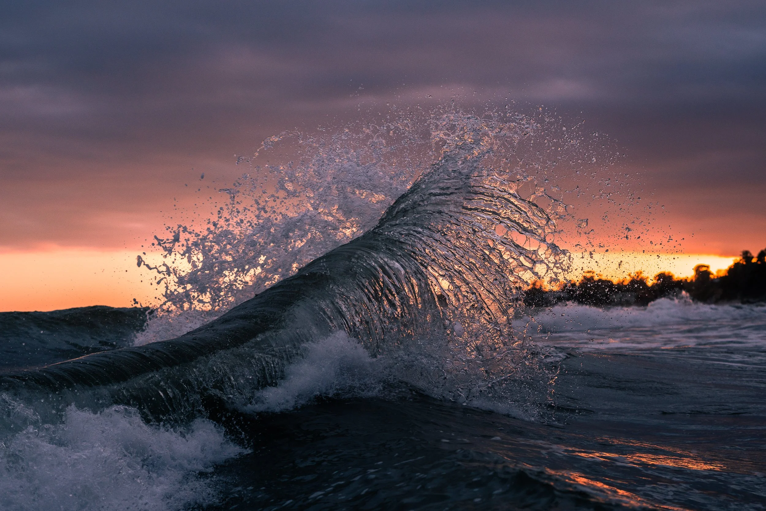 collindewell_art for ronnie-28.jpg