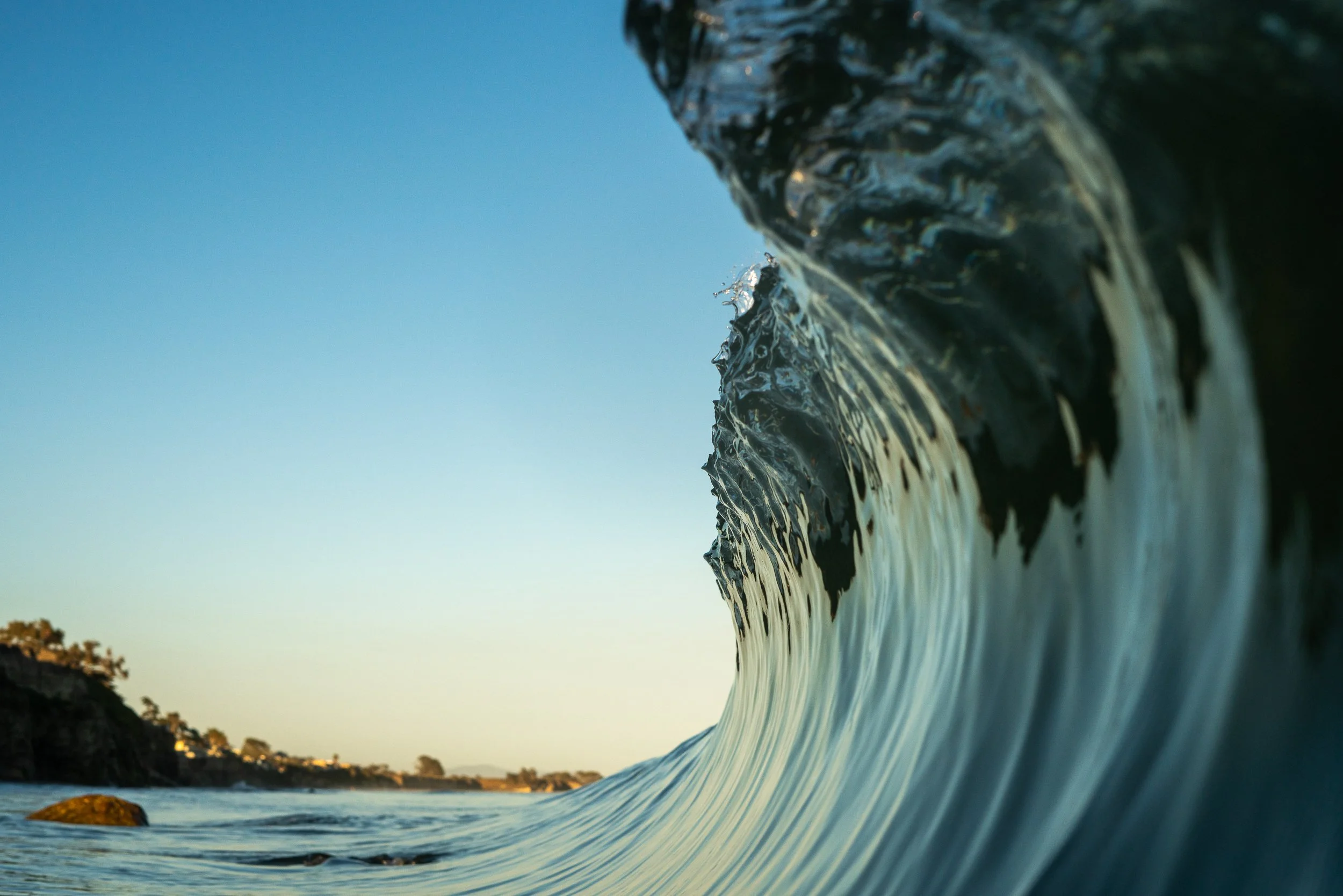 collindewell_art for ronnie-33.jpg