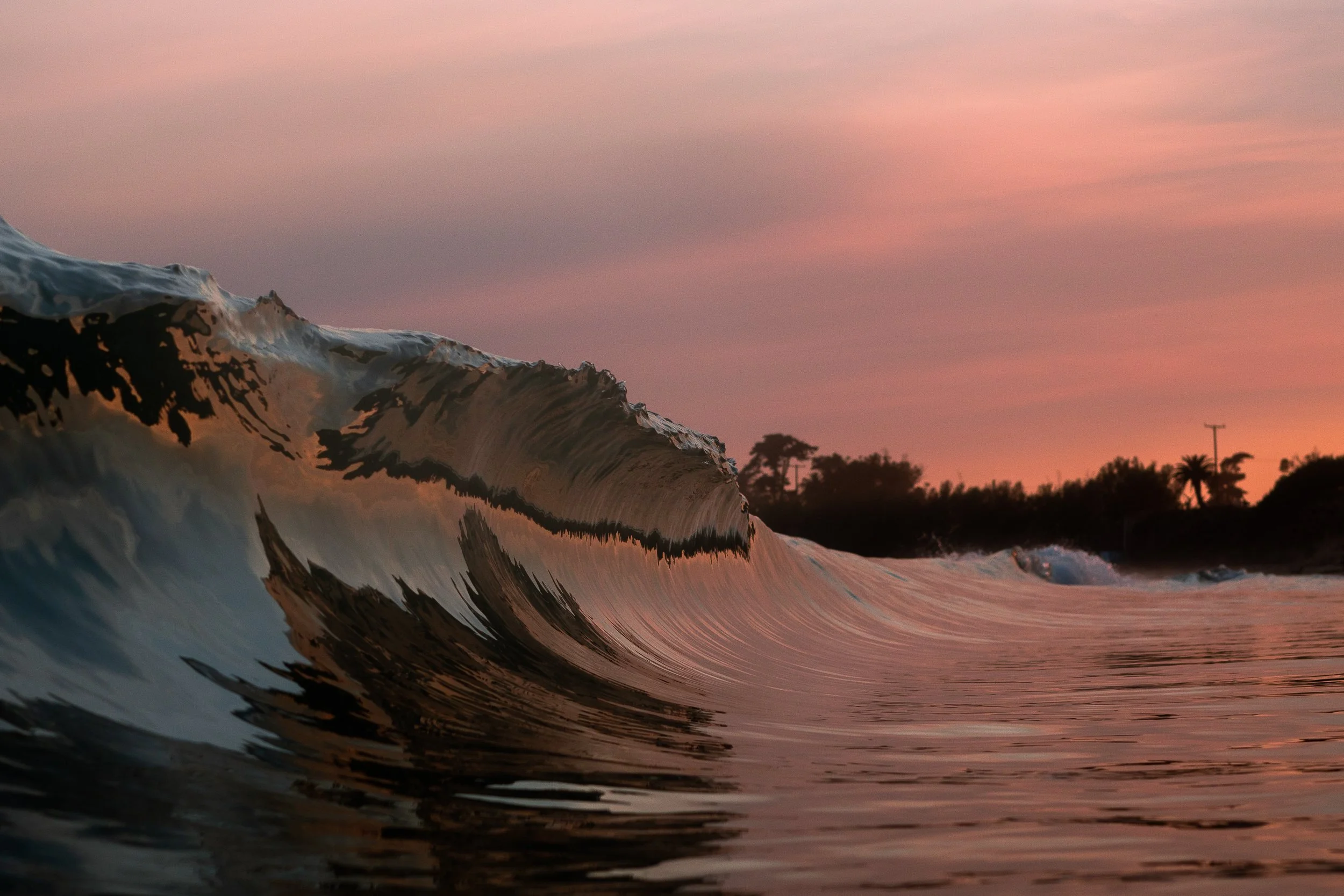 collindewell_art for ronnie-34.jpg