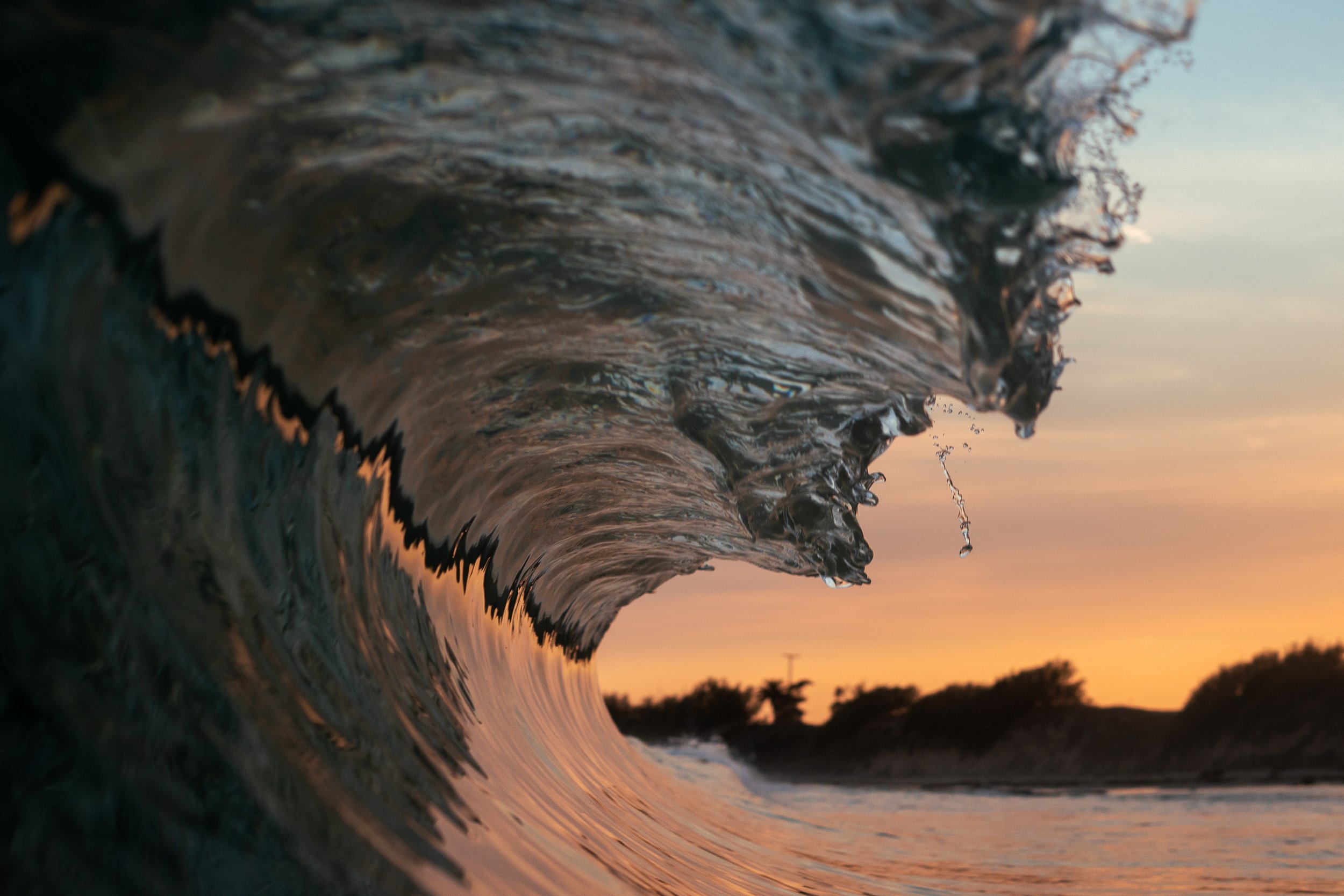 collindewell_art for ronnie-35.jpg