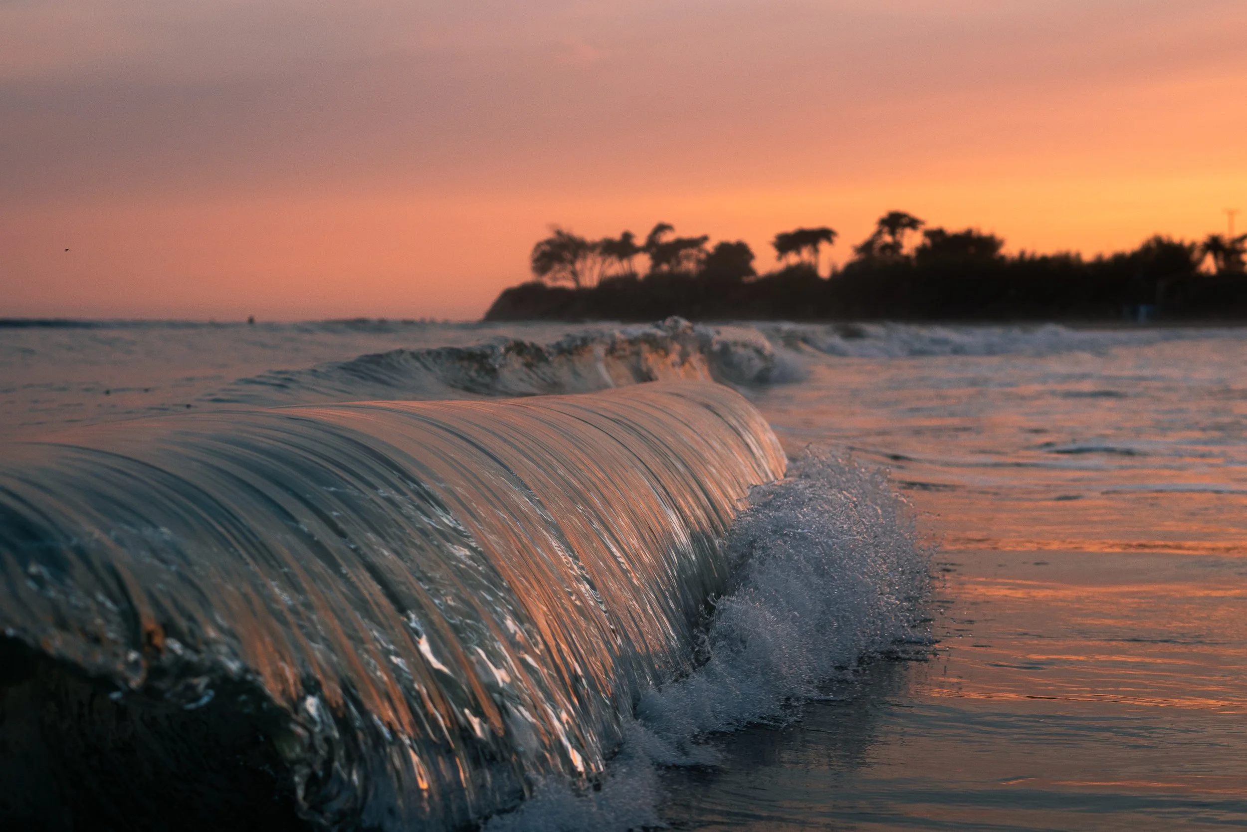 collindewell_art for ronnie-36.jpg