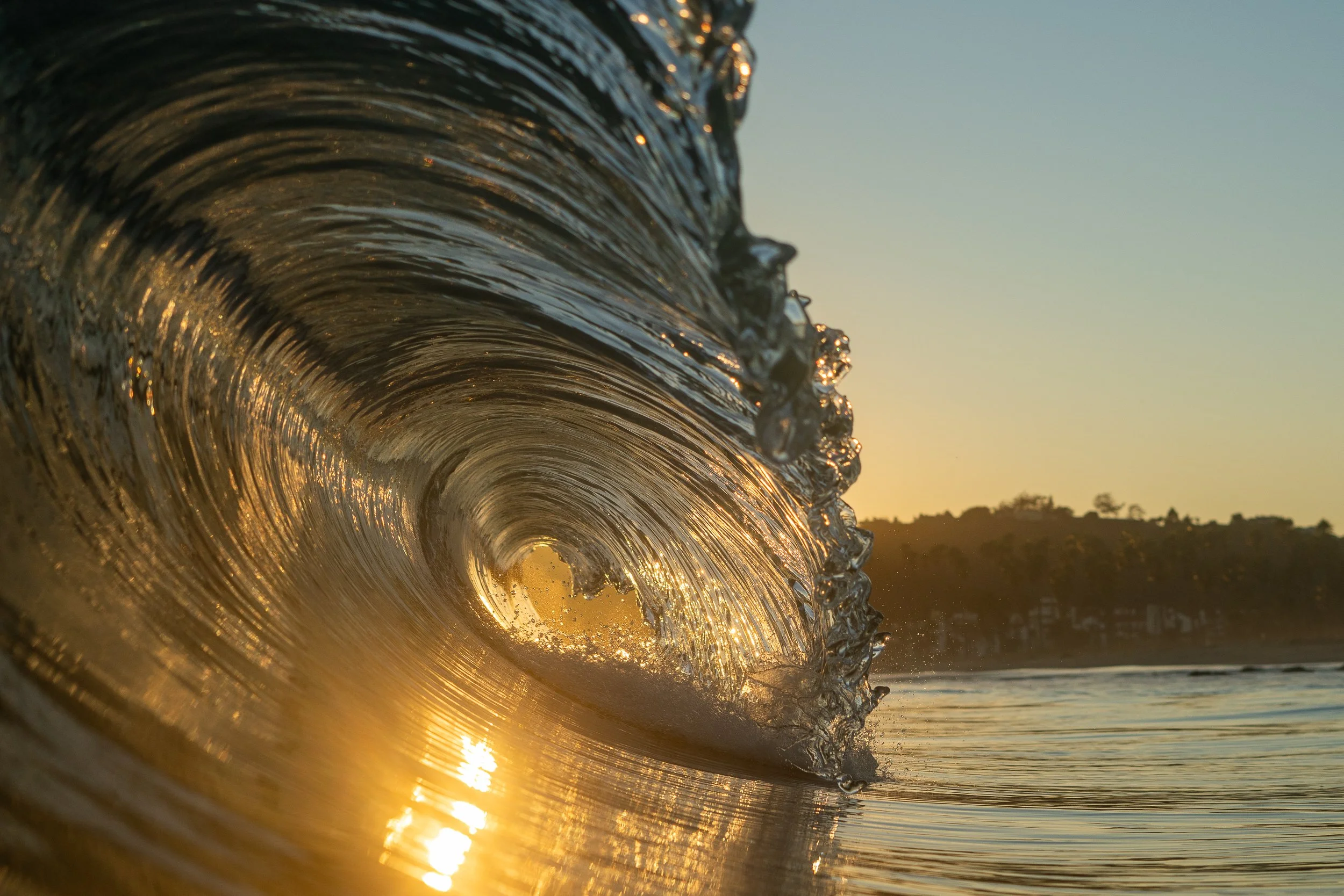 collindewell_art for ronnie-39.jpg