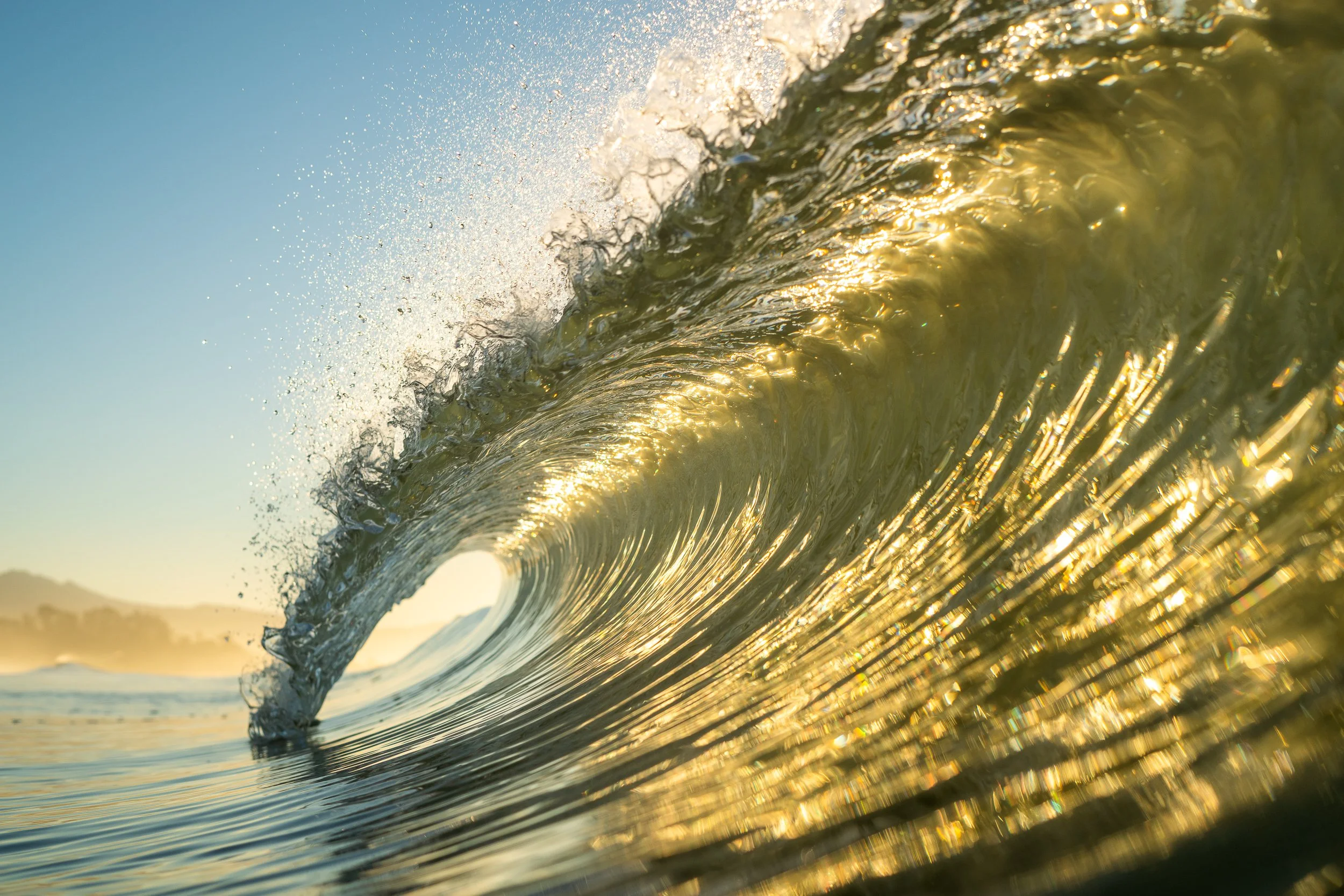 collindewell_art for ronnie-40.jpg