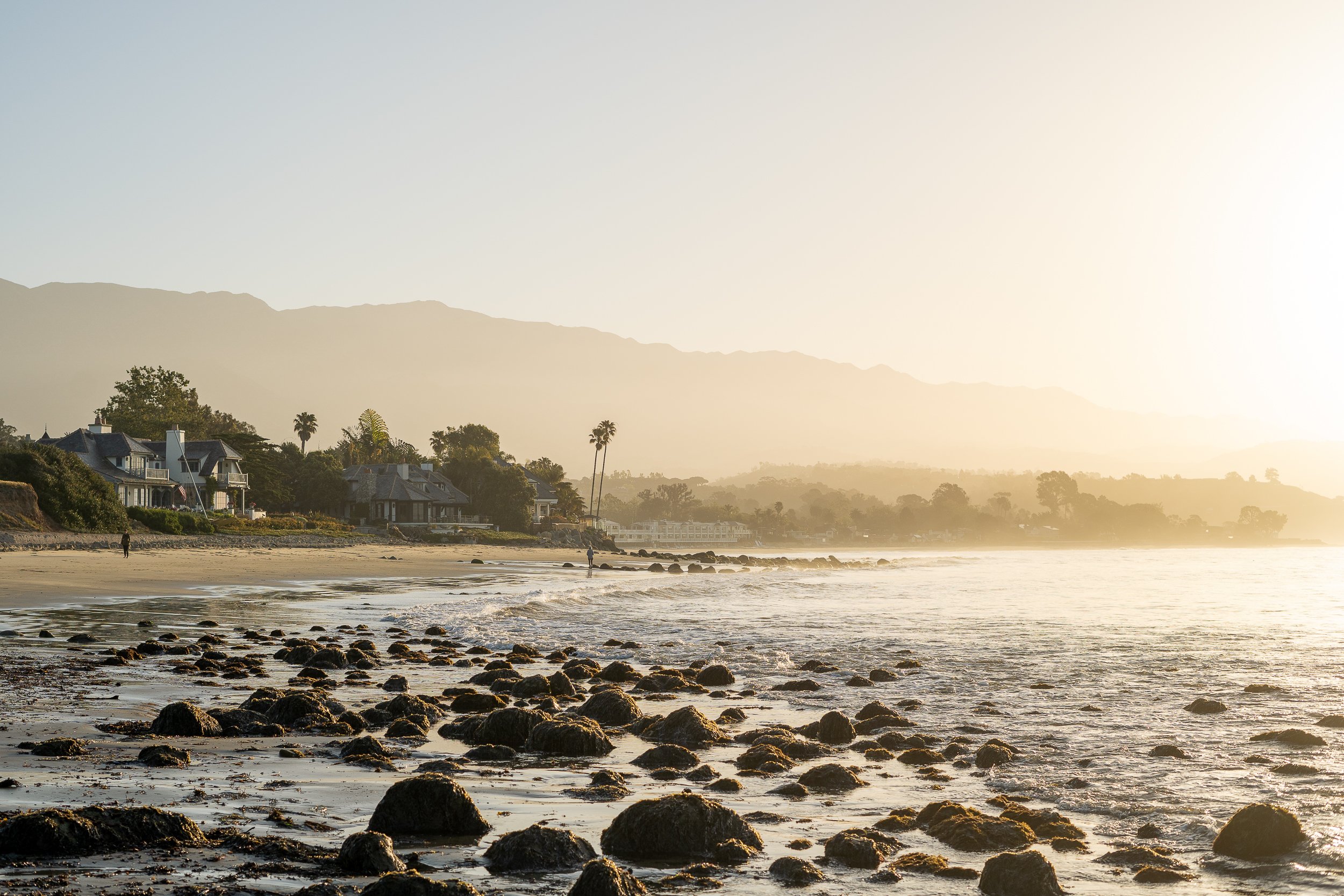 collindewell_art for ronnie-41.jpg