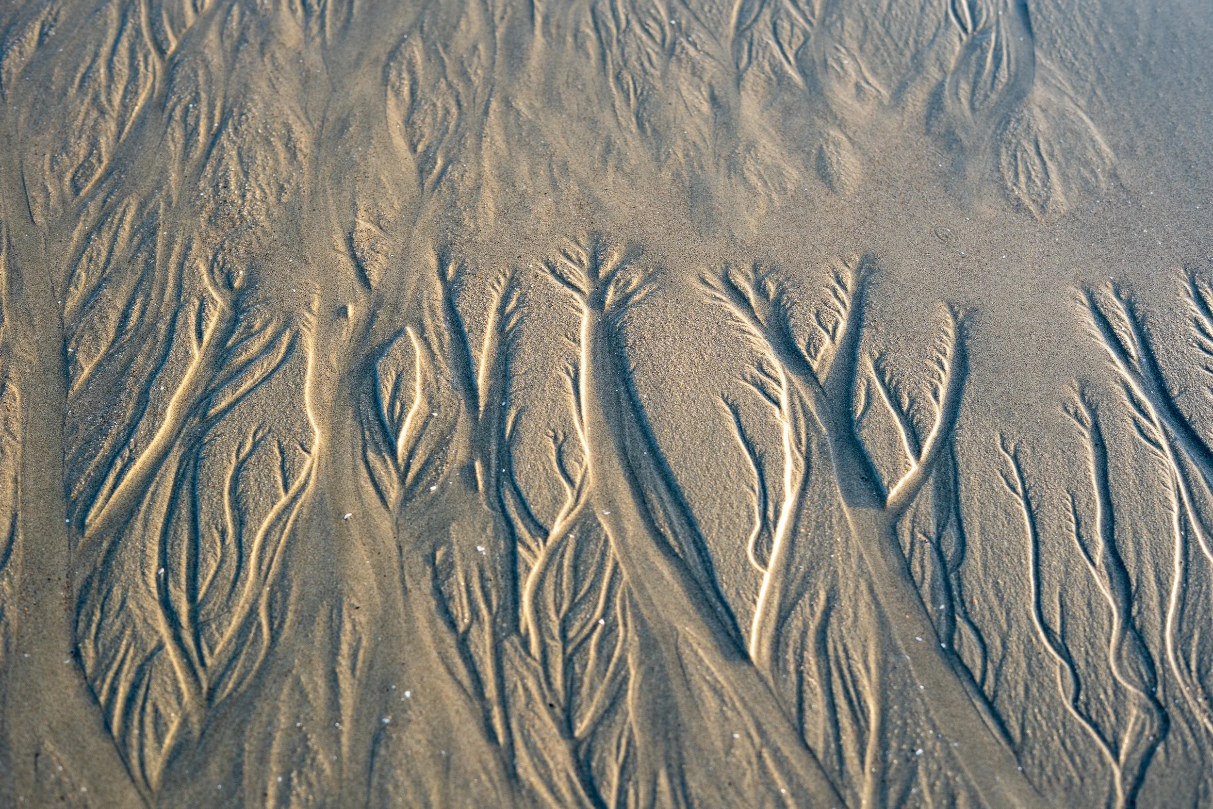 collindewell_art for ronnie-42.jpg