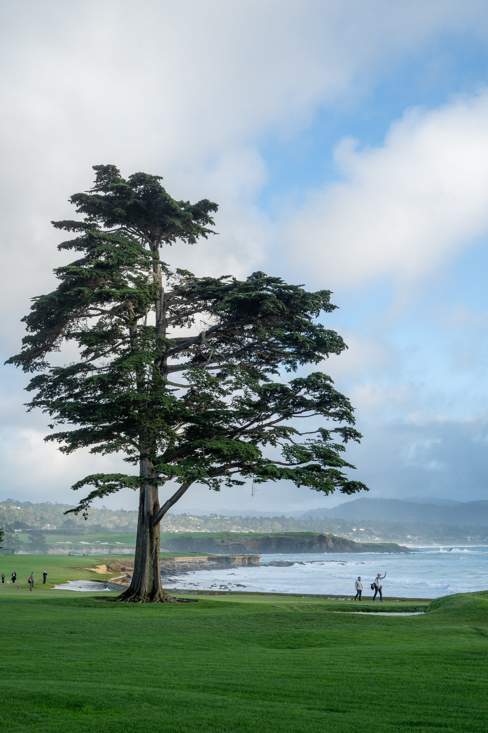 pebble beach-4.jpg
