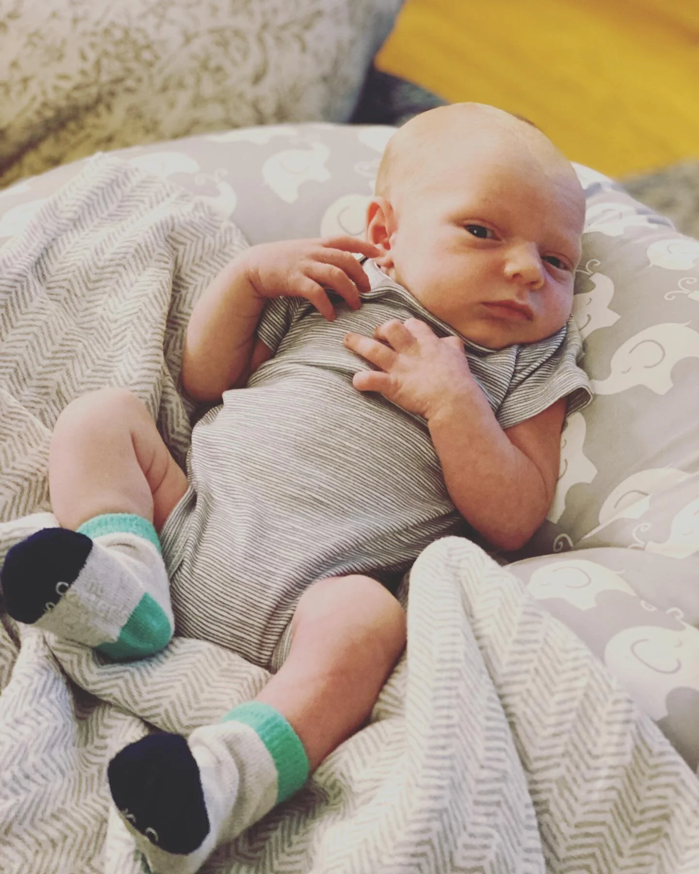 I don&rsquo;t know about this &ldquo;mom&rdquo; lady. She&rsquo;s always kissing my face and taking my picture... #apprehensivebaby #quitsmotheringme #doievenknowyou