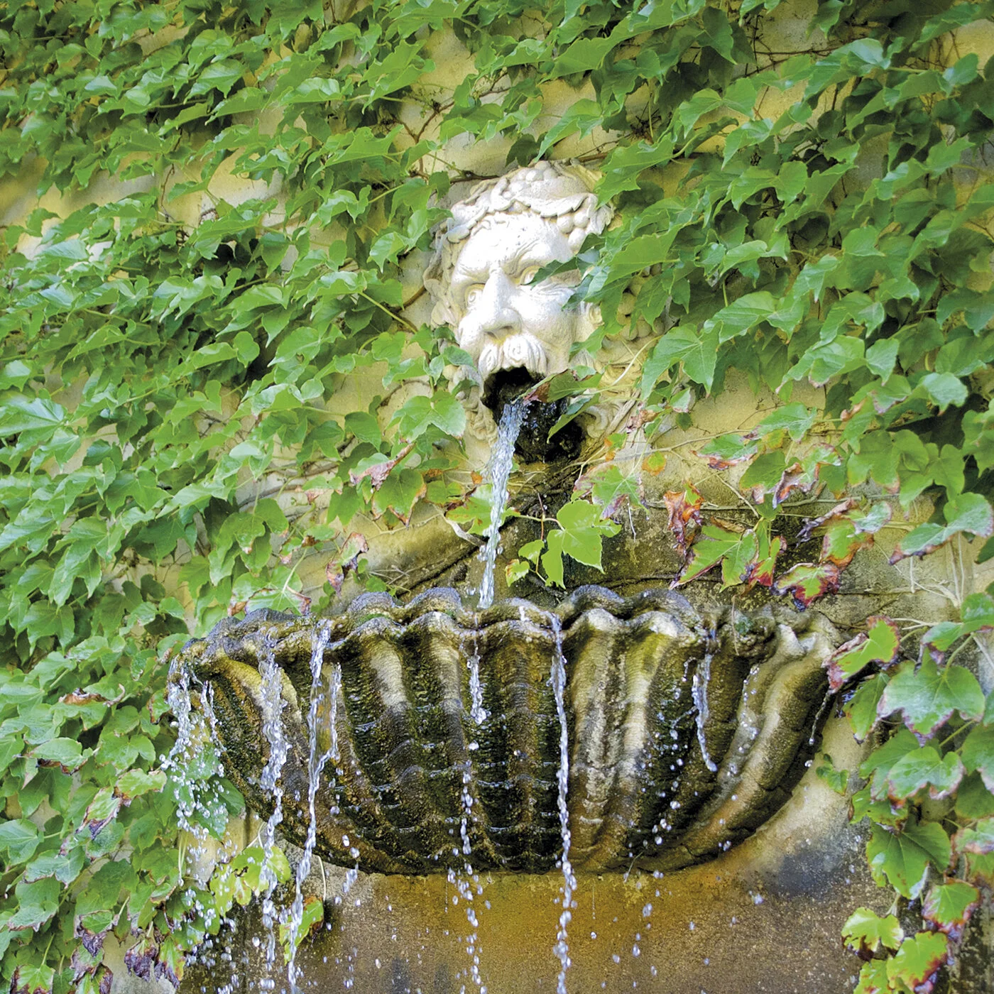 buffet d'eau