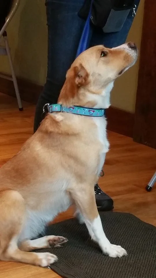 Macy3.jpg