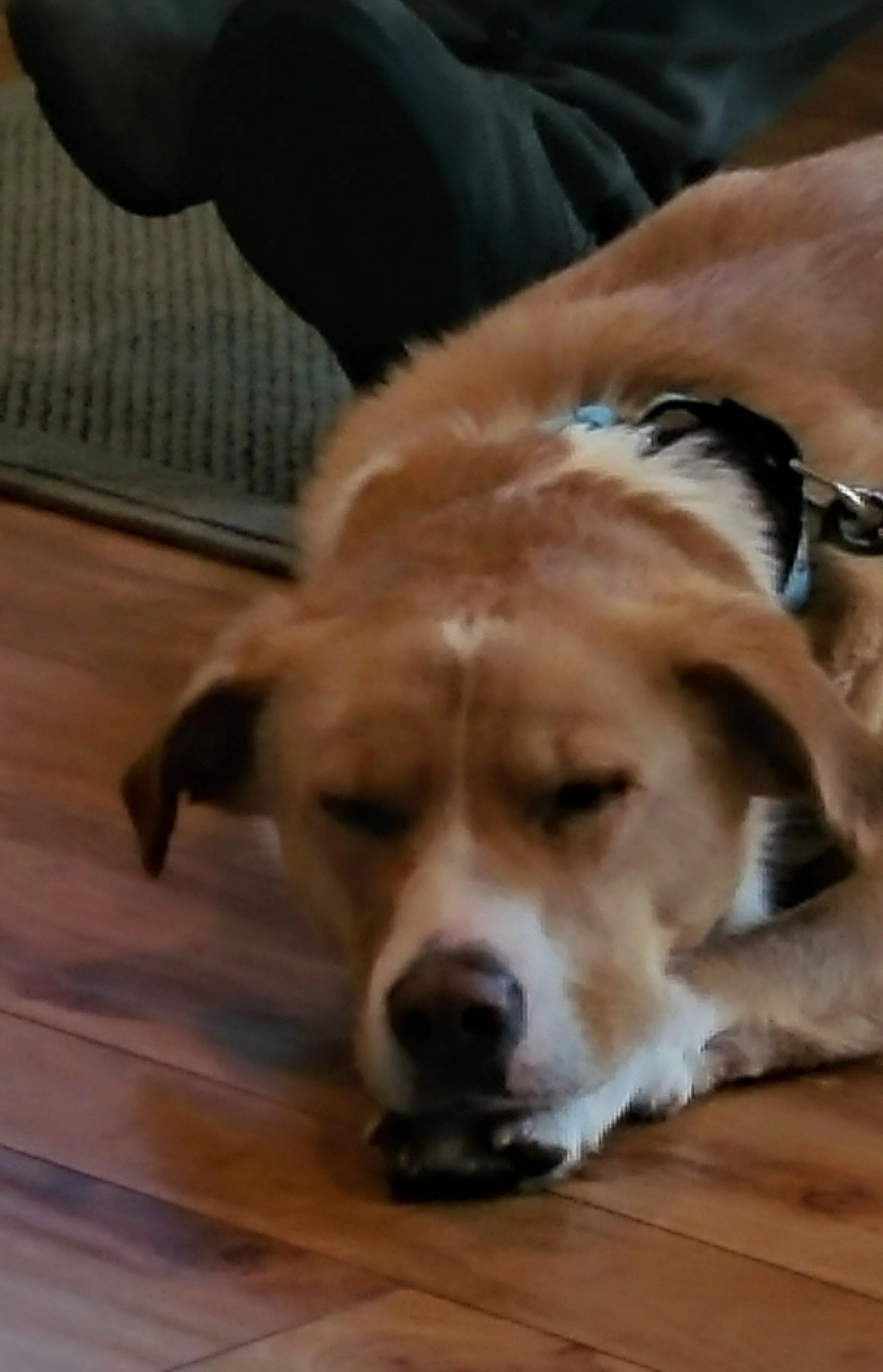Macy