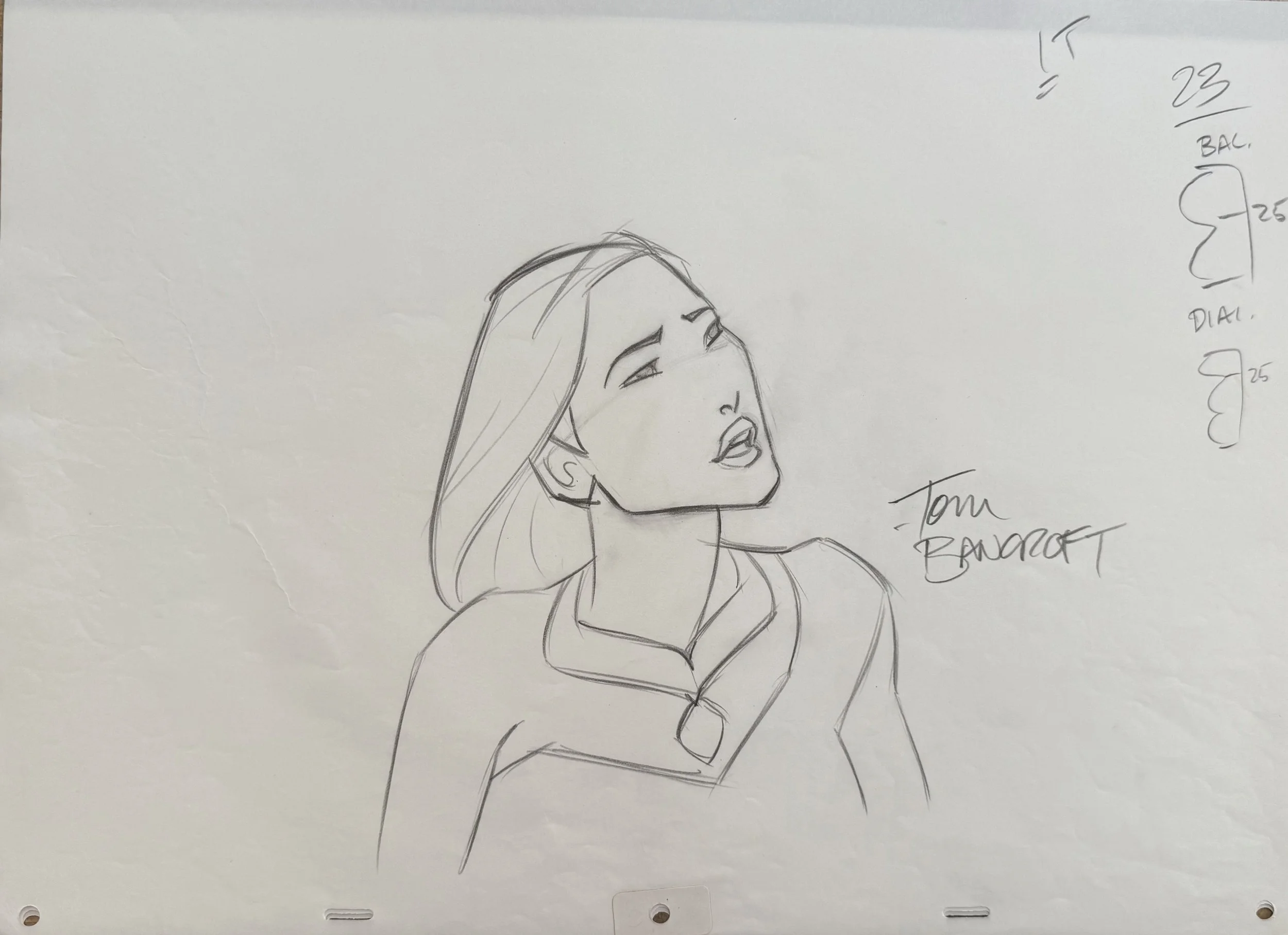 Pochy_IT_fr23 copy.jpg