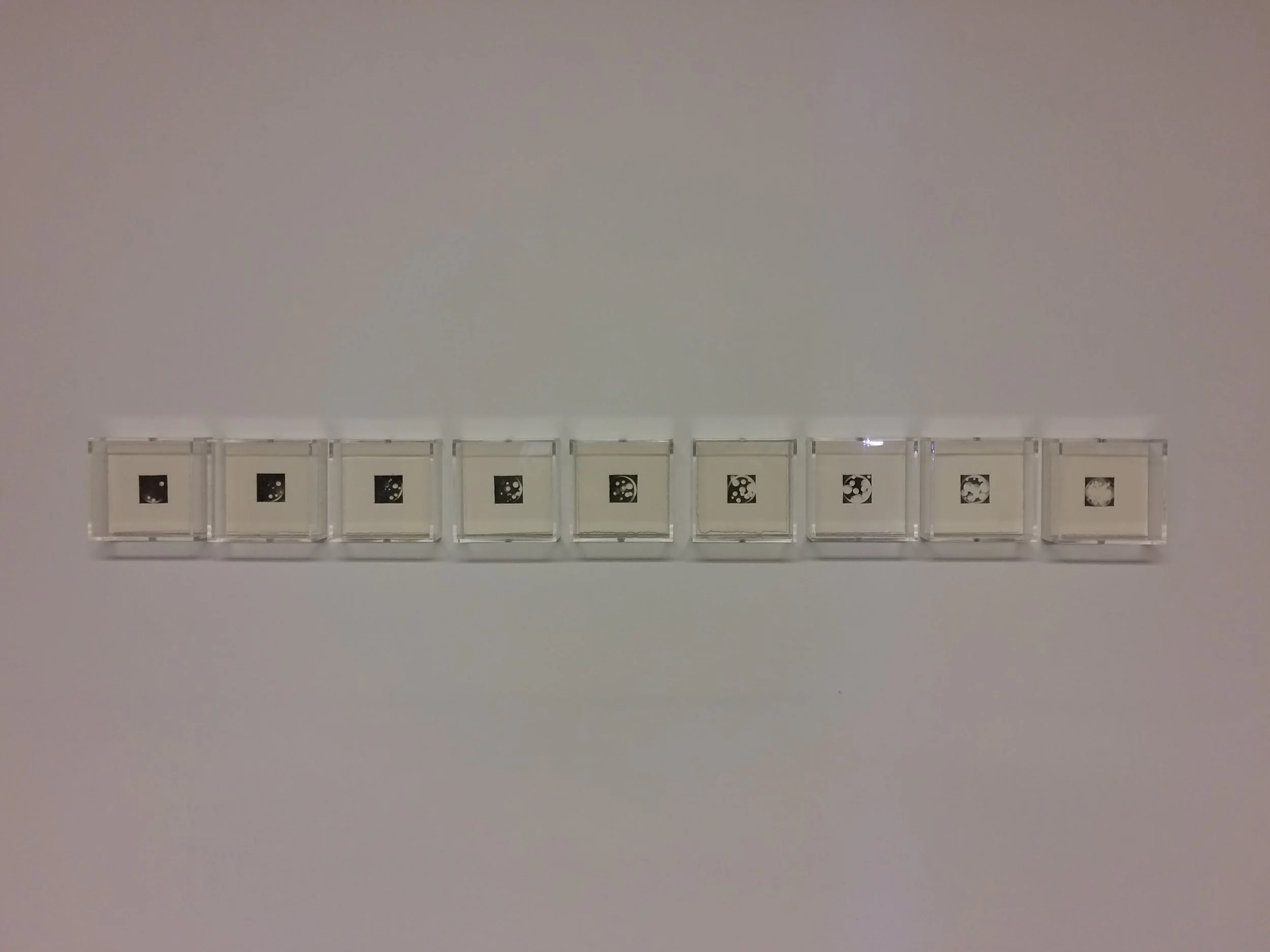 Christine Taylor Patten