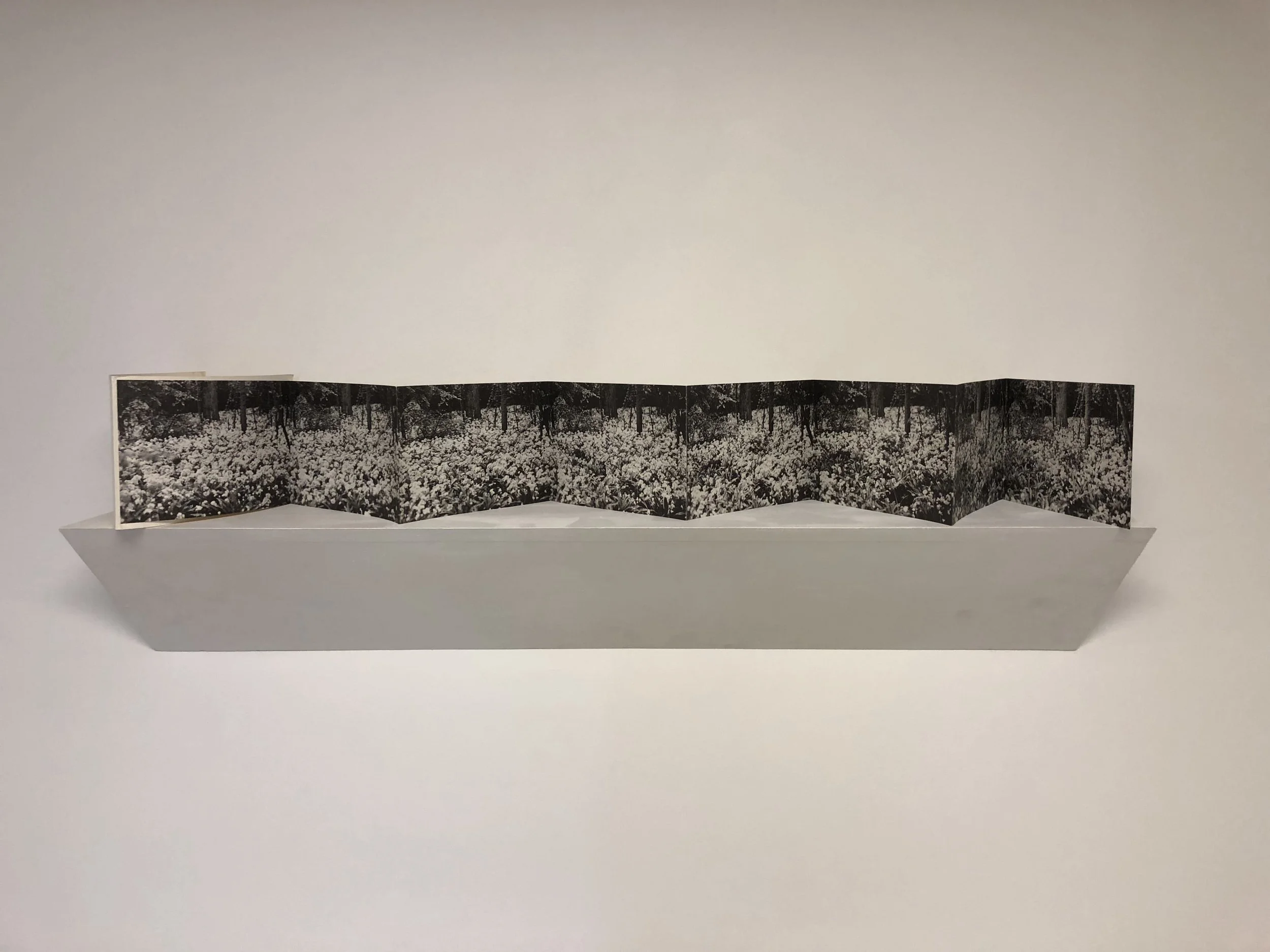 Dennis Oppenheim Flower Arrangement for Bruce Nauman Artists’ book, offset printed 6 3/16 × 9 ¼ inches (page), 6 5/8 × 9 5/8 × ⅜ inches (closed) 6 feet (open) 1970