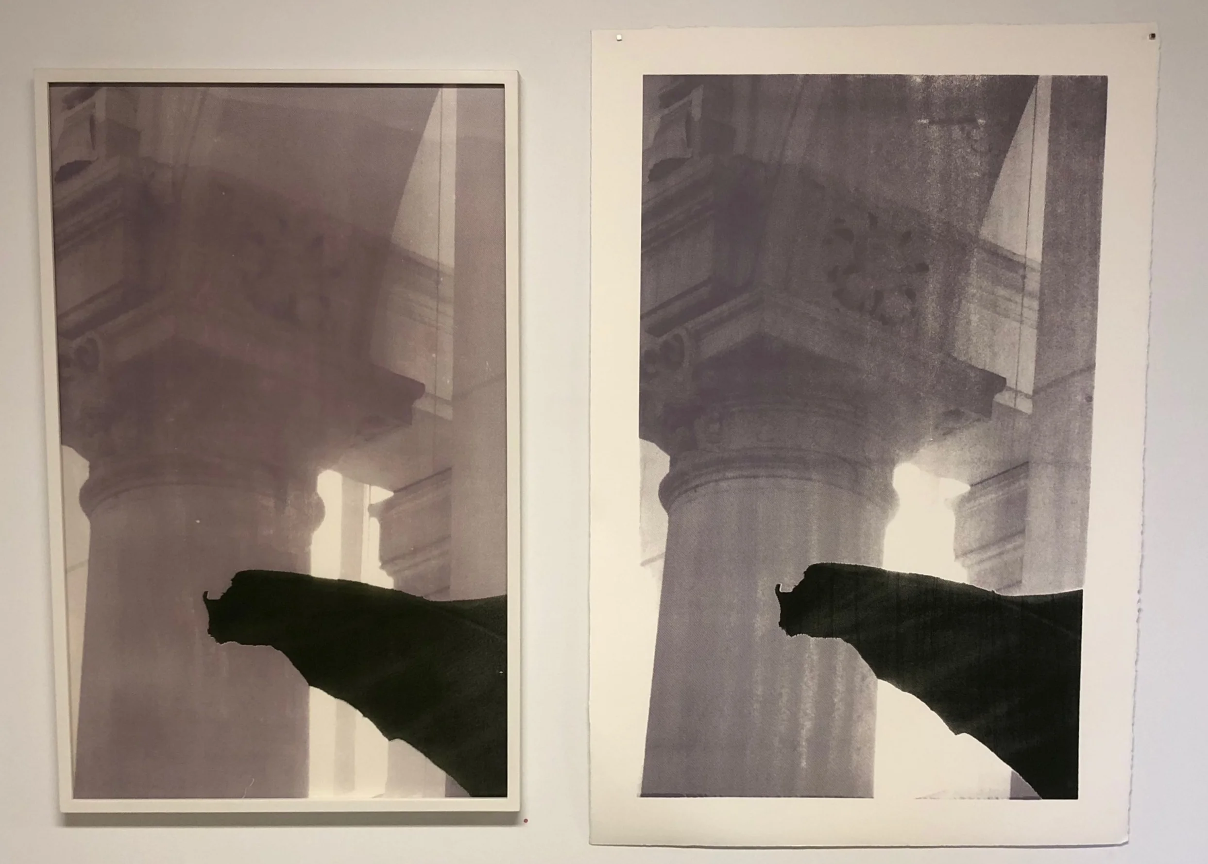  Ilona Pachler House of Palms Screenprint behind plex 27 x 43 inches 2016  House of Palms Screenprint on BFK Rives paper 4/4 32 x 48 inches 2016 