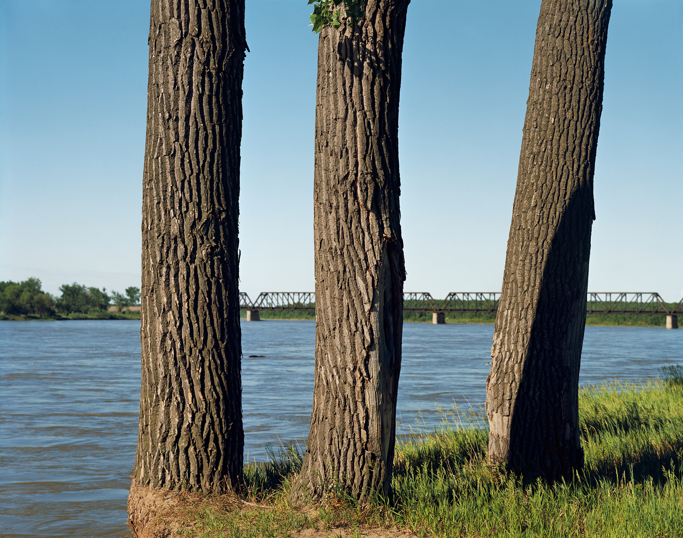 Mary Peck Cottonwoods at Black Bridge Yellowstone River Glendive, Montana Archival pigment print Edition of 15 22 x 26 ½ inches 2017