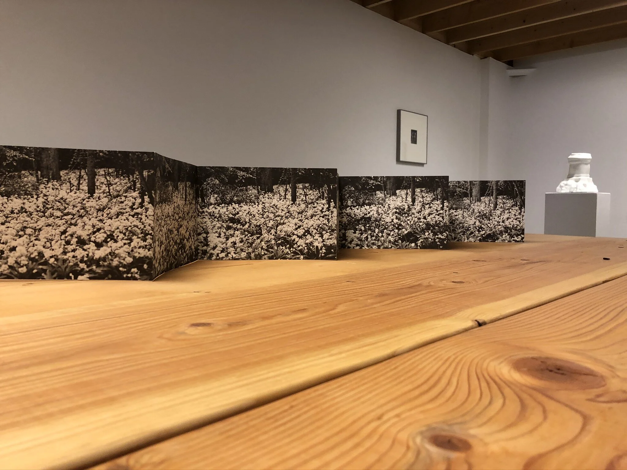  Dennis Oppenheim   Flower Arrangement for Bruce Nauman   Artists’ book, offset printed   6 3/16 × 9 ¼ inches (page), 6 5/8 × 9 5/8 × ⅜ inches (closed) 6 feet (open)   1970    