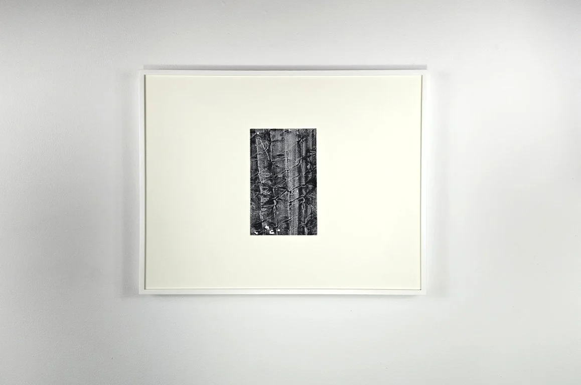 Nick Terry untitled 2025 4 ¾” x 7 ¾” watercolor on paper
