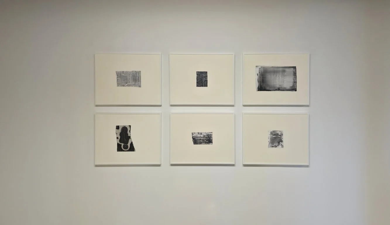 Terry-grid (Medium).jpg