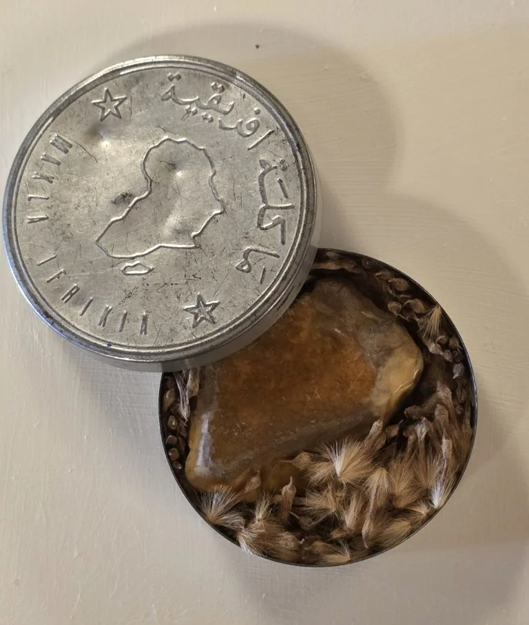Marc Baseman Paris 1990 2 x 2 inches tobacco tin, Sycamore seeds, and stone