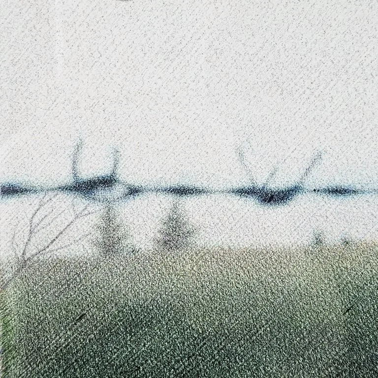 detail