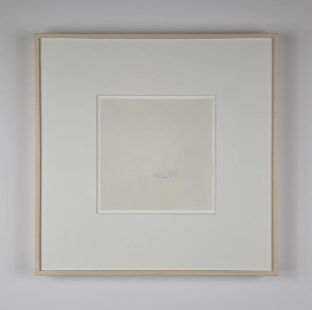  Wes Mills bridge (five ingredients of a cow) 2002 7 ¾ x 7 ¾ inches graphite, powdered pigment, paint on paper  