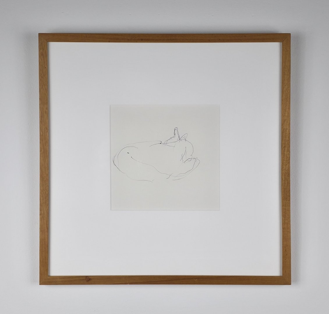  Wes Mills untitled, (cat drawing) 1996 6 x 6 ½ inches ink on paper 